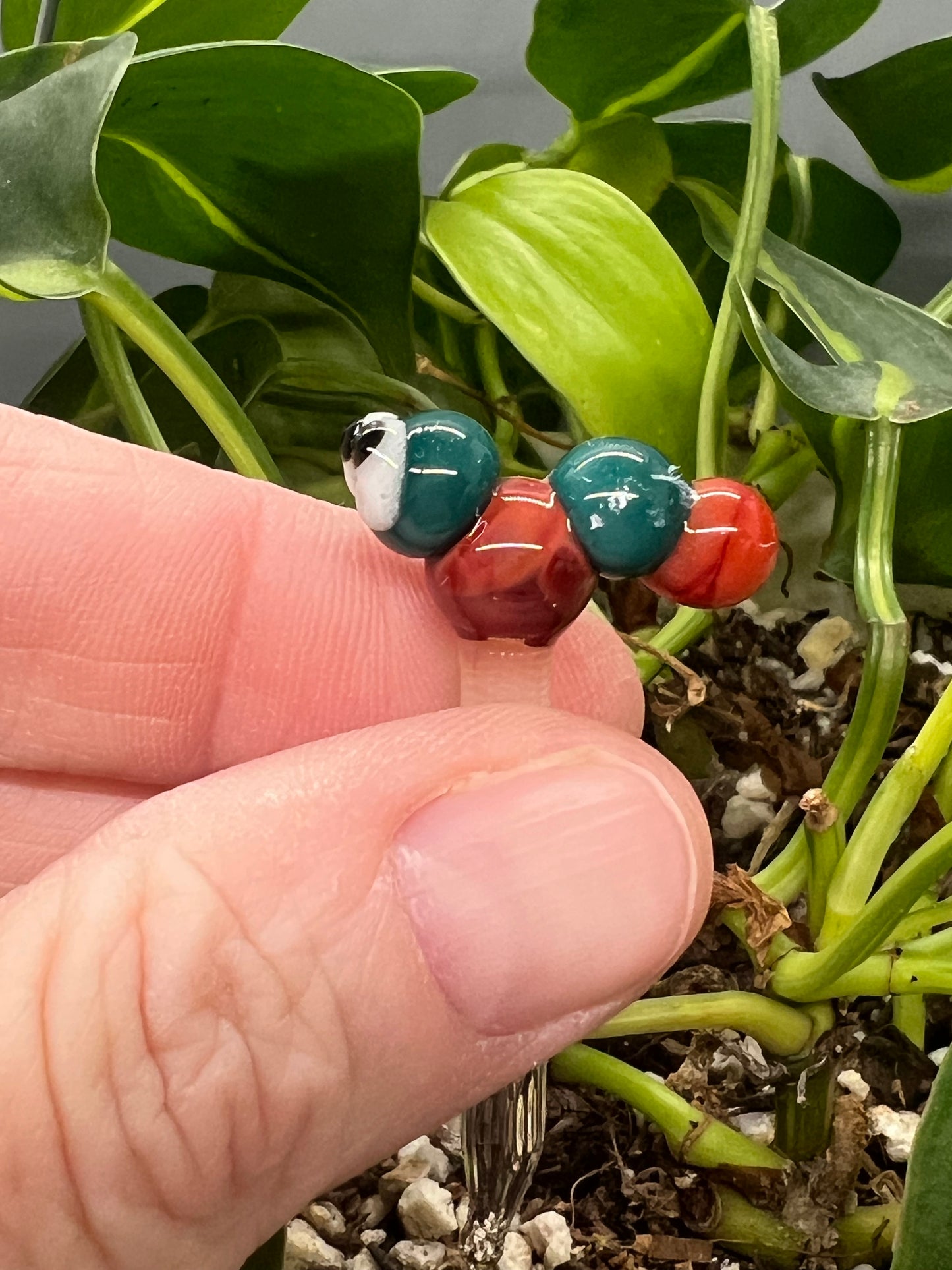 Aqua and Red Caterpillar Plant Stake