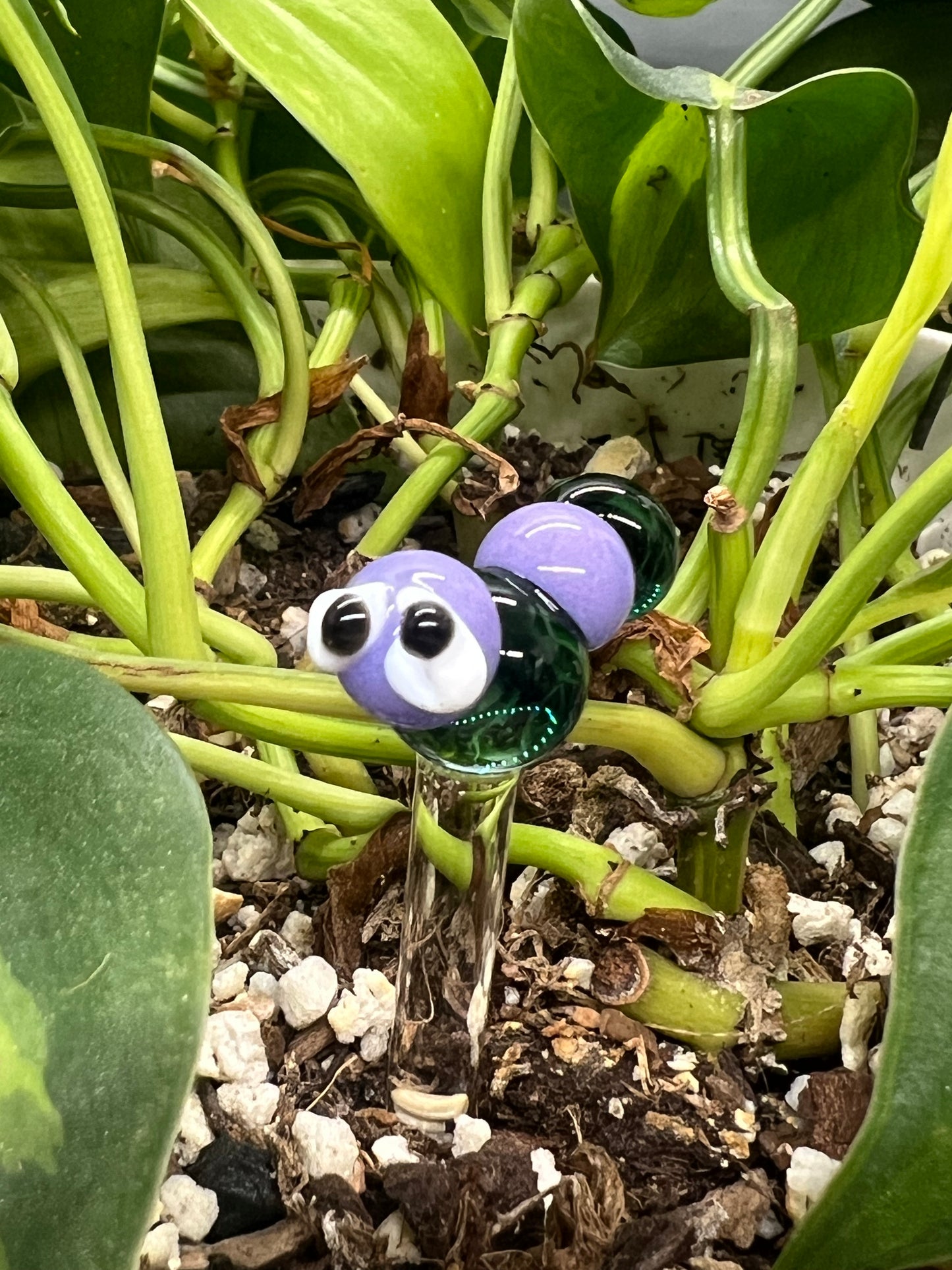 Two Tone Blue Caterpillar Plant Stake
