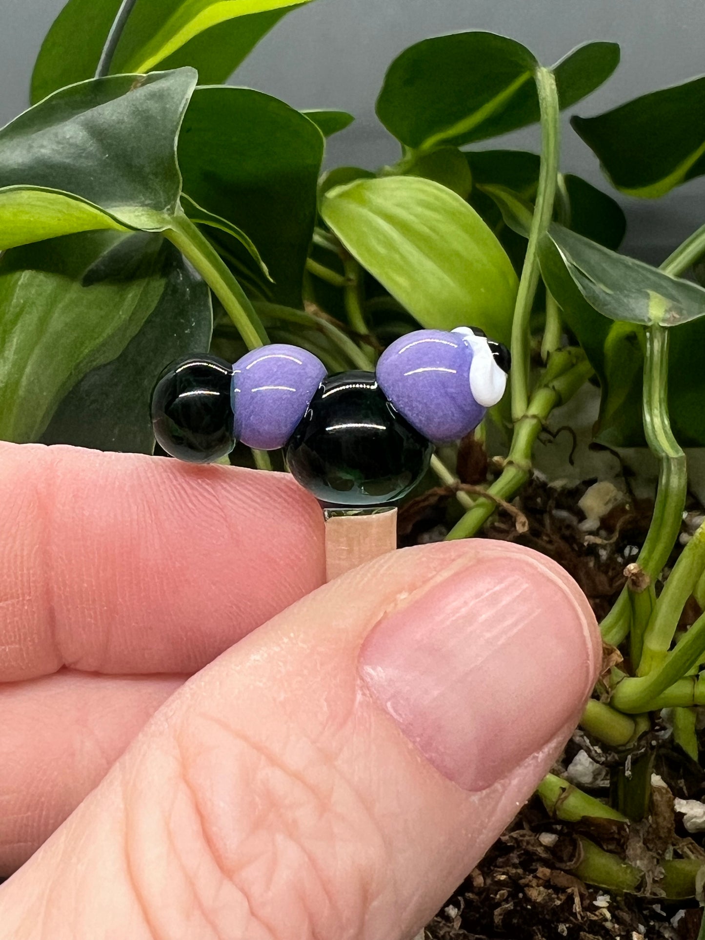 Two Tone Blue Caterpillar Plant Stake