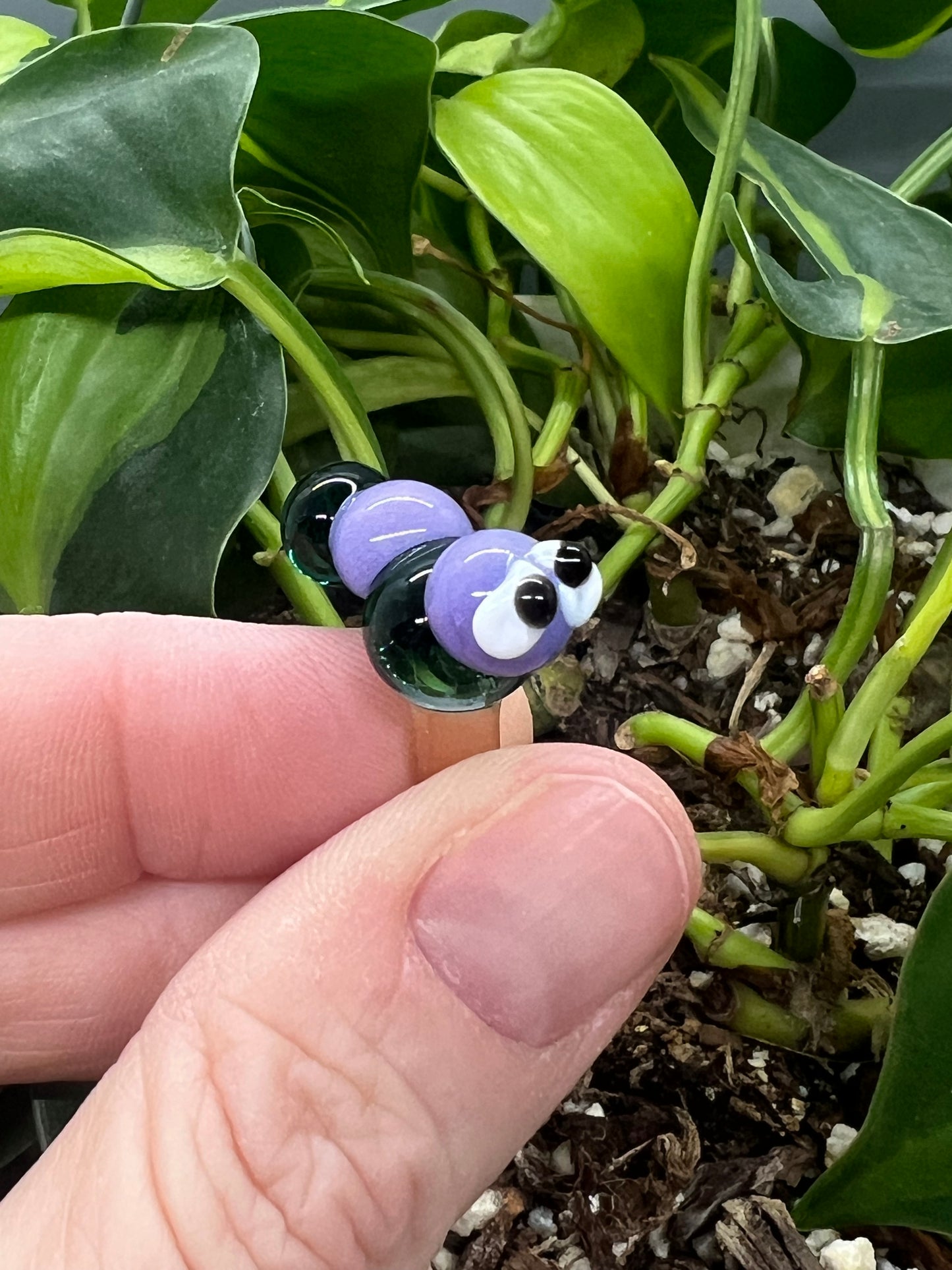Two Tone Blue Caterpillar Plant Stake