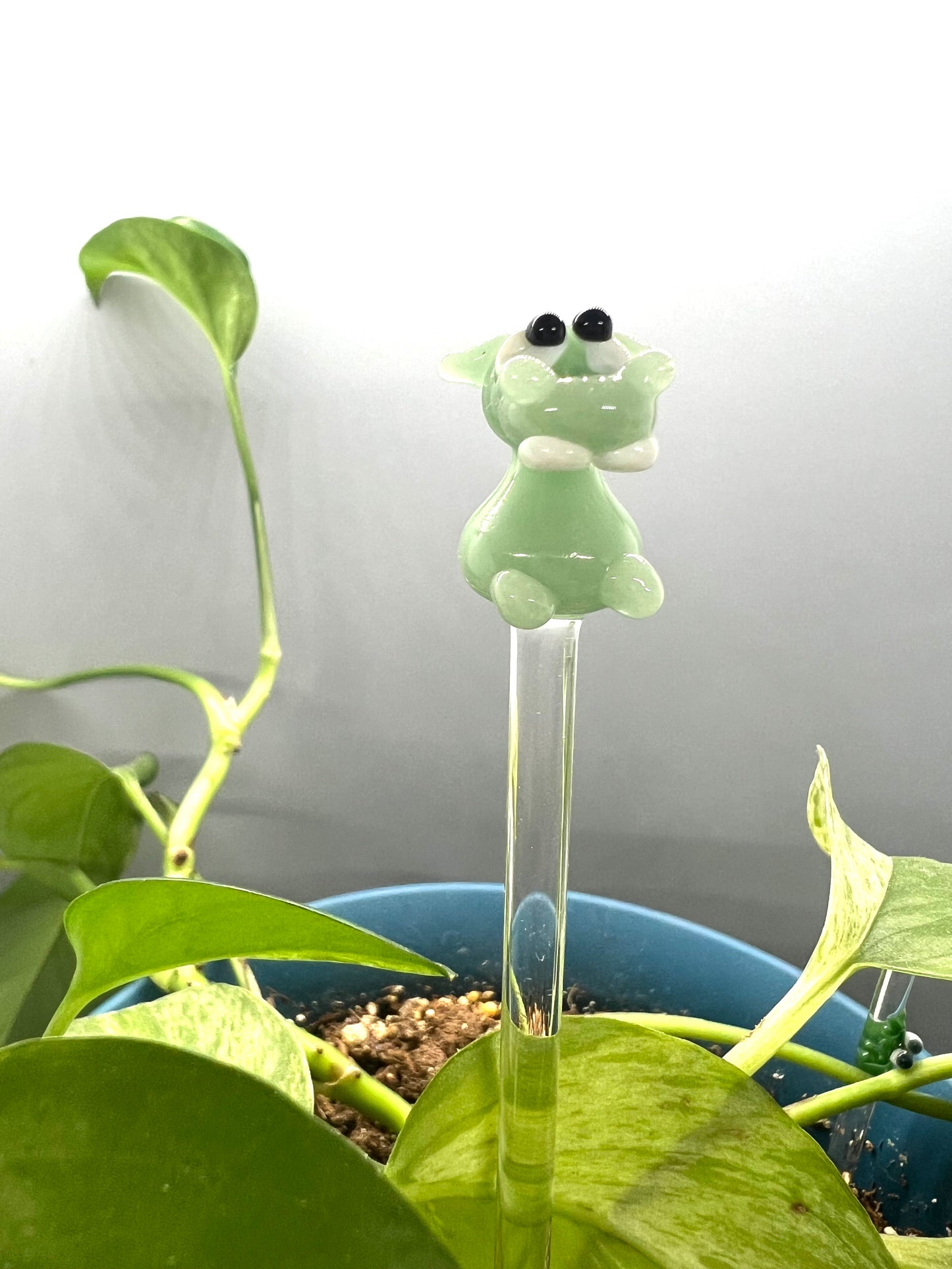 Mint Hippo Glass Plant Stake