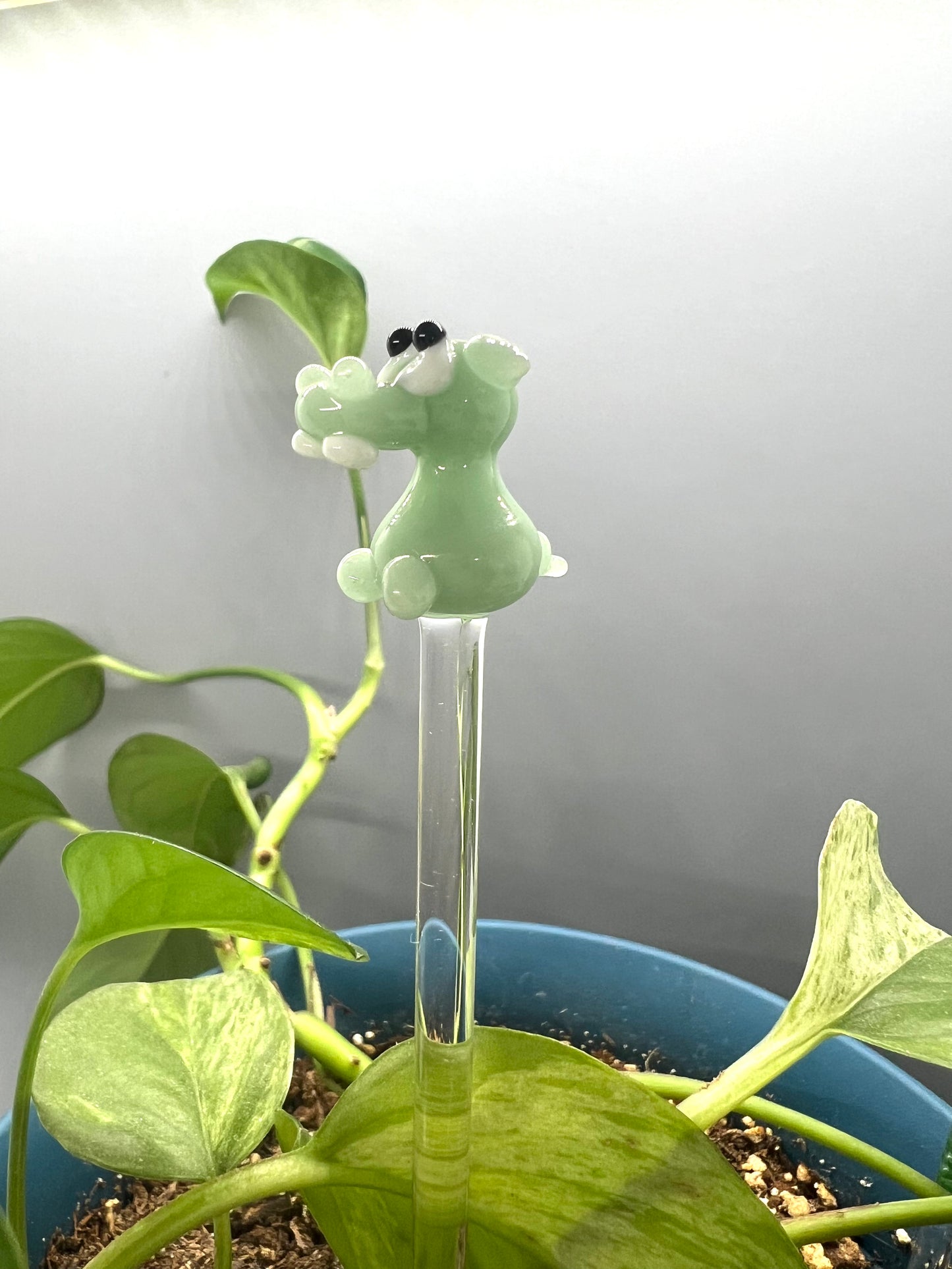 Mint Hippo Glass Plant Stake