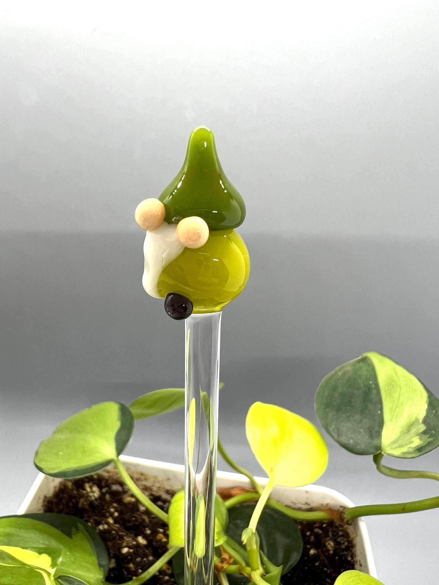 Green Gnome Glass Plant Stake
