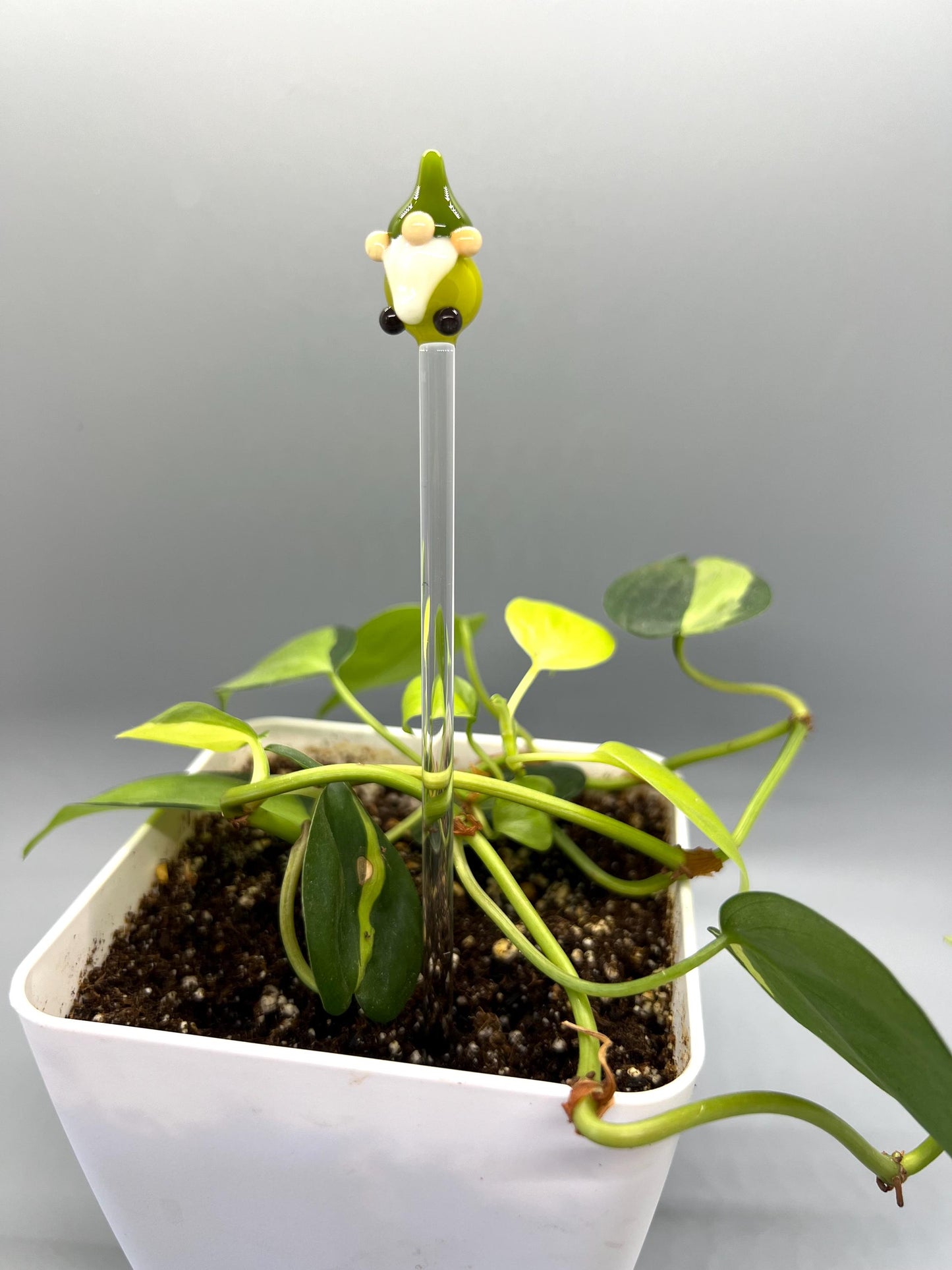 Green Gnome Glass Plant Stake