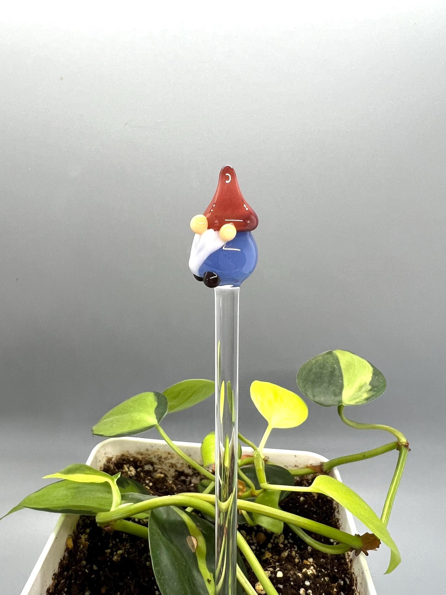 Blue Gnome Glass Plant Stake