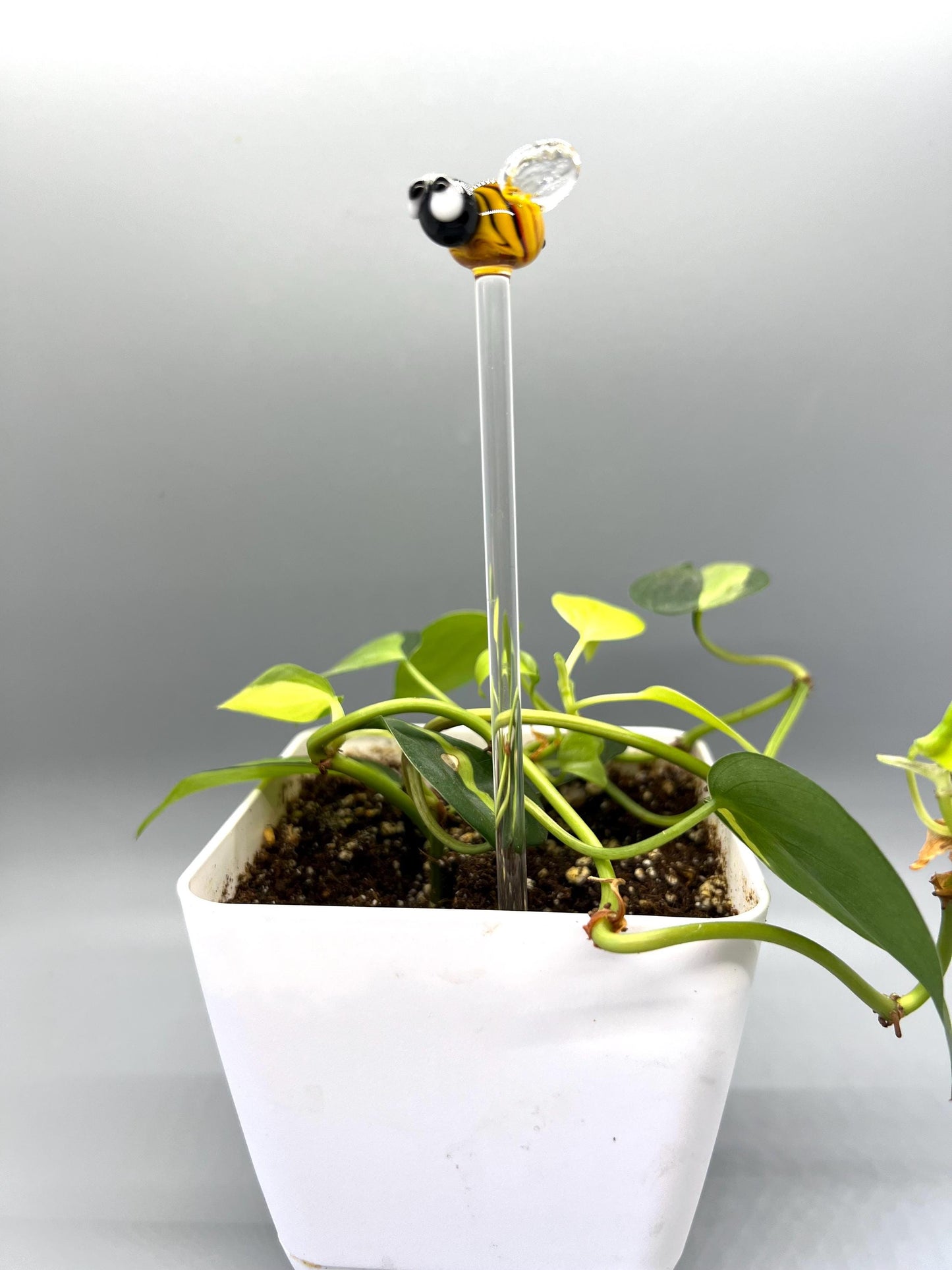 Bumble Bee Glass Plant Stake