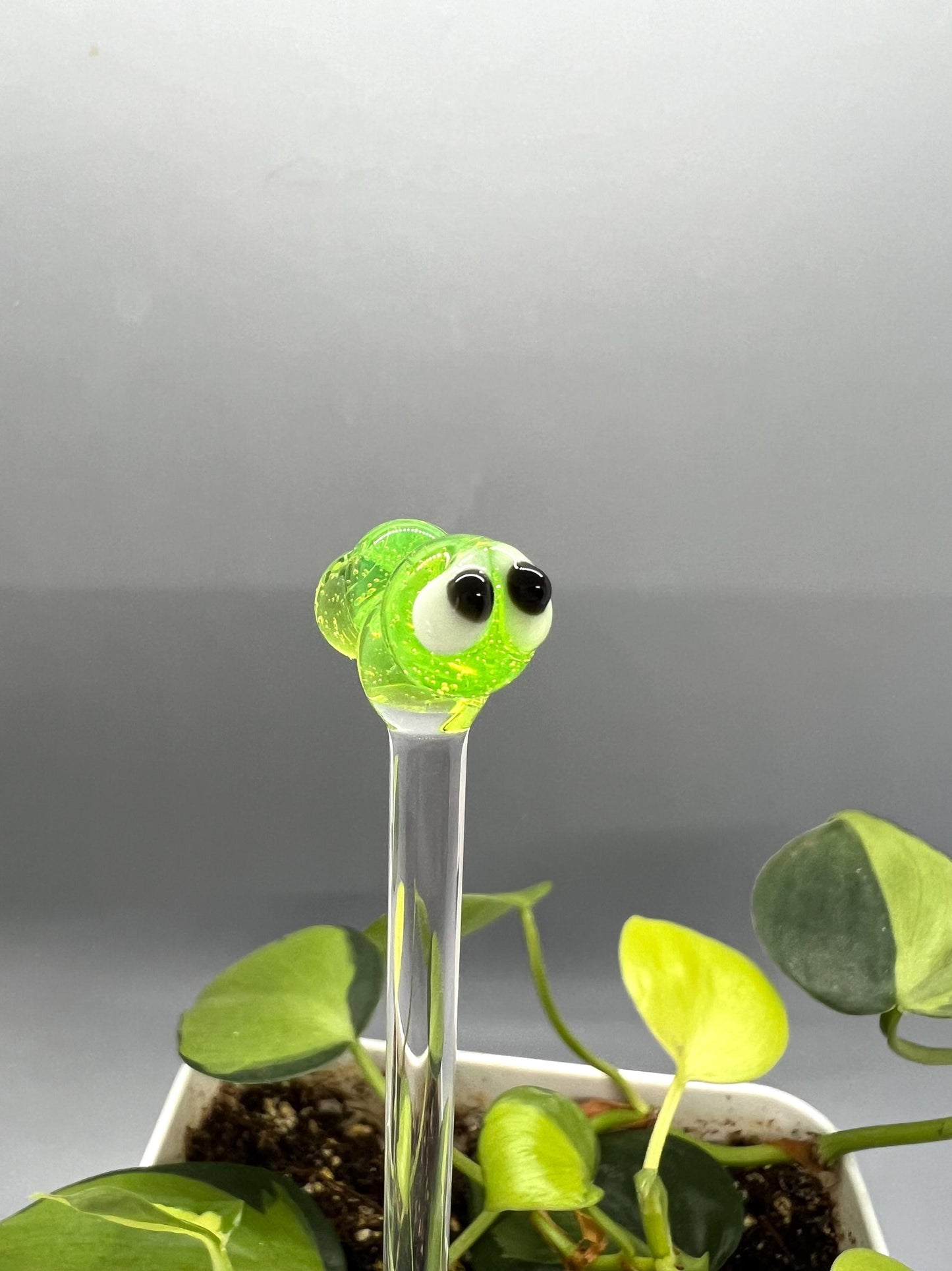 Caterpillar Glass Plant Stake