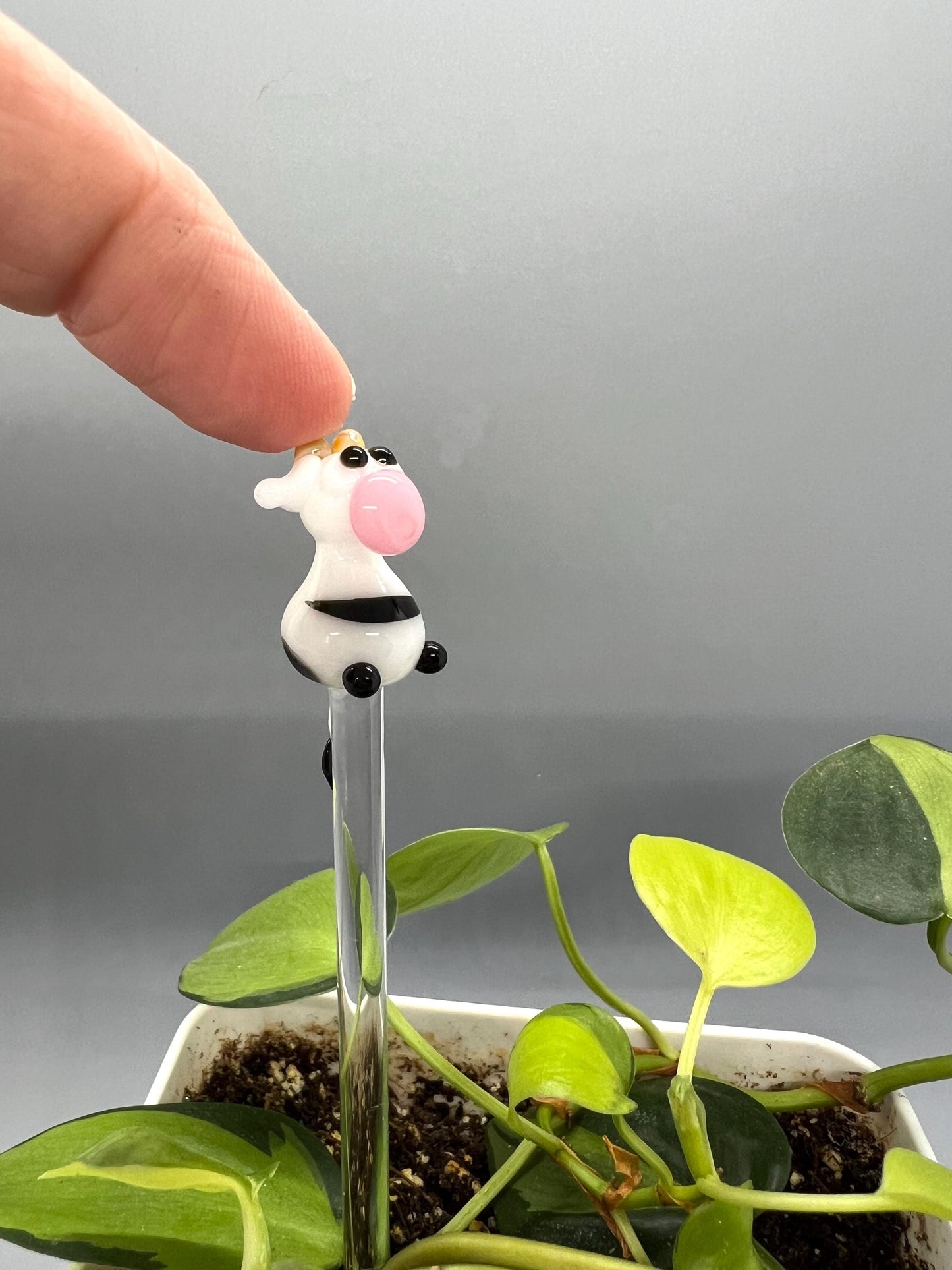Cow Glass Plant Stake