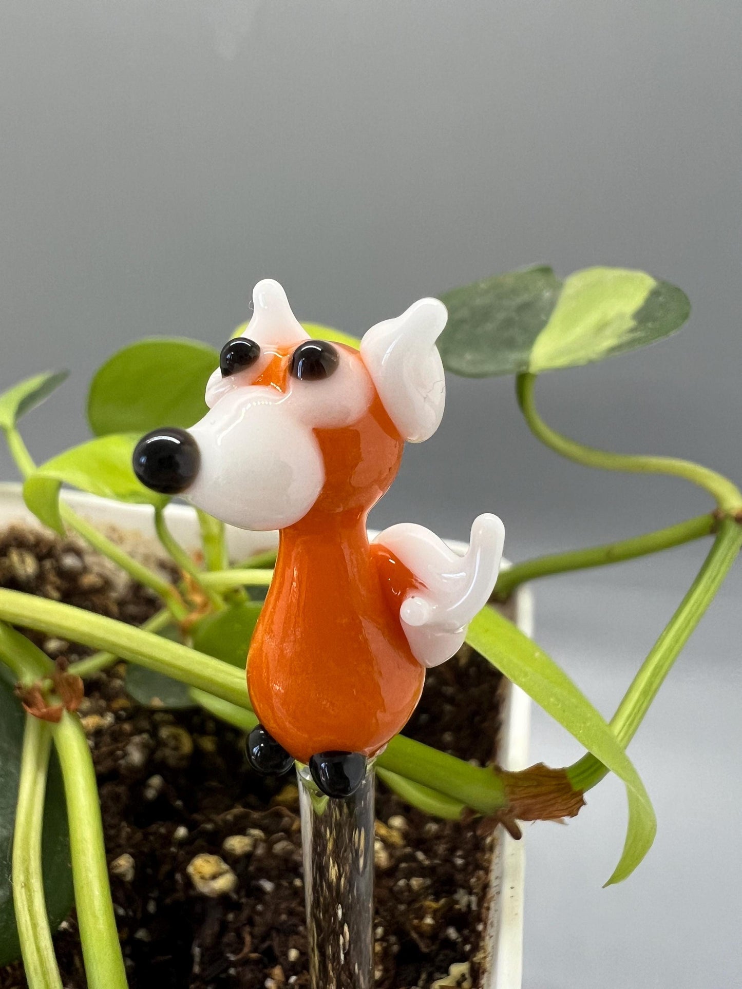 Fox Glass Plant Stake