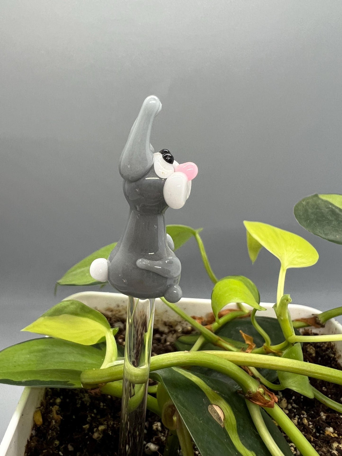 Gray Rabbit Glass Plant Stake