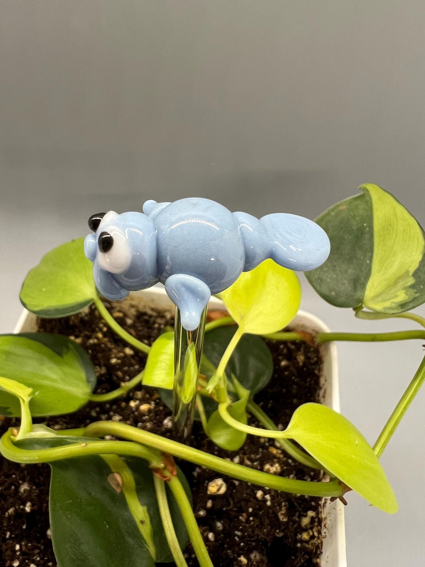 Manatee Glass Plant Stake