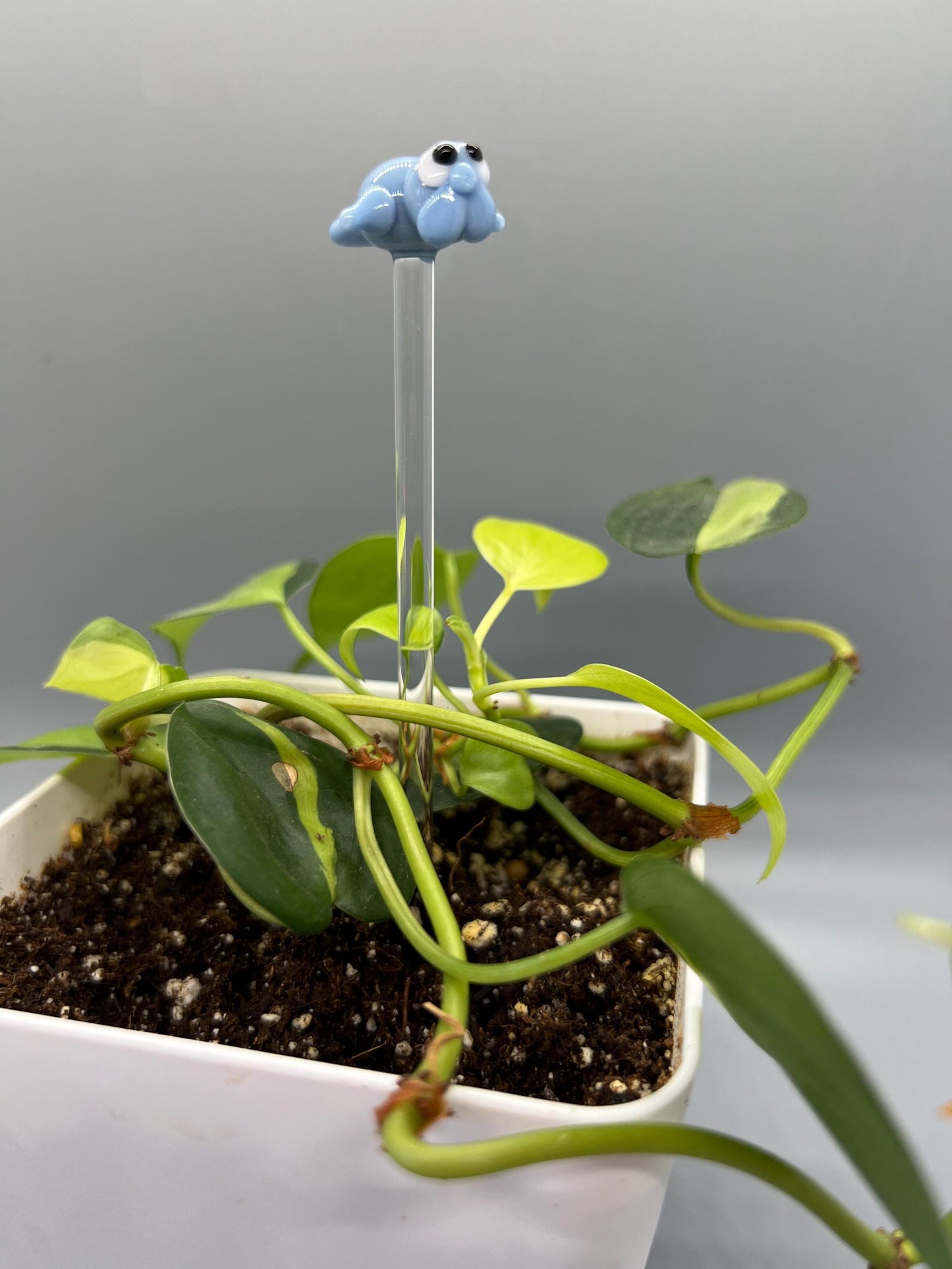 Manatee Glass Plant Stake