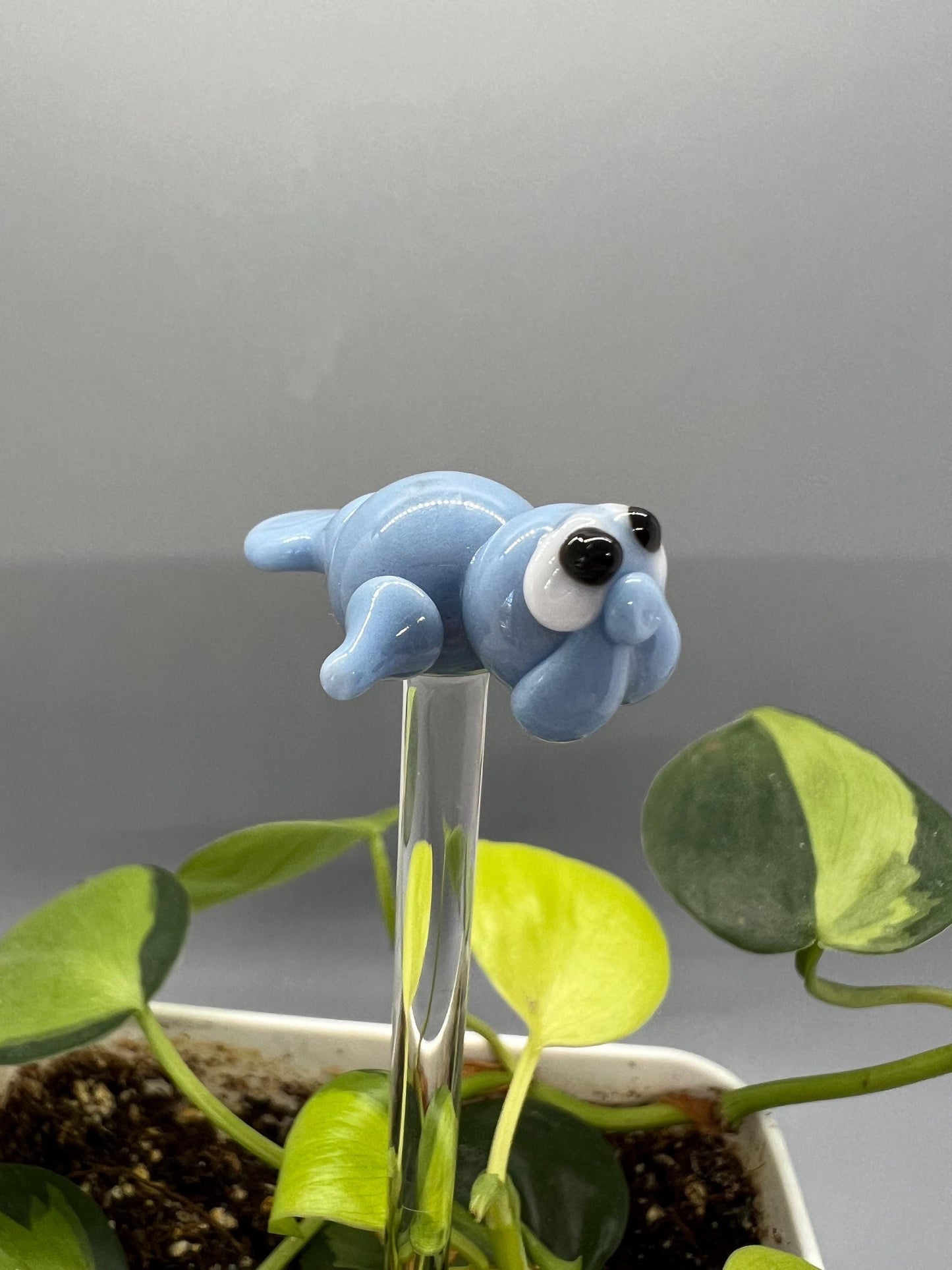 Manatee Glass Plant Stake
