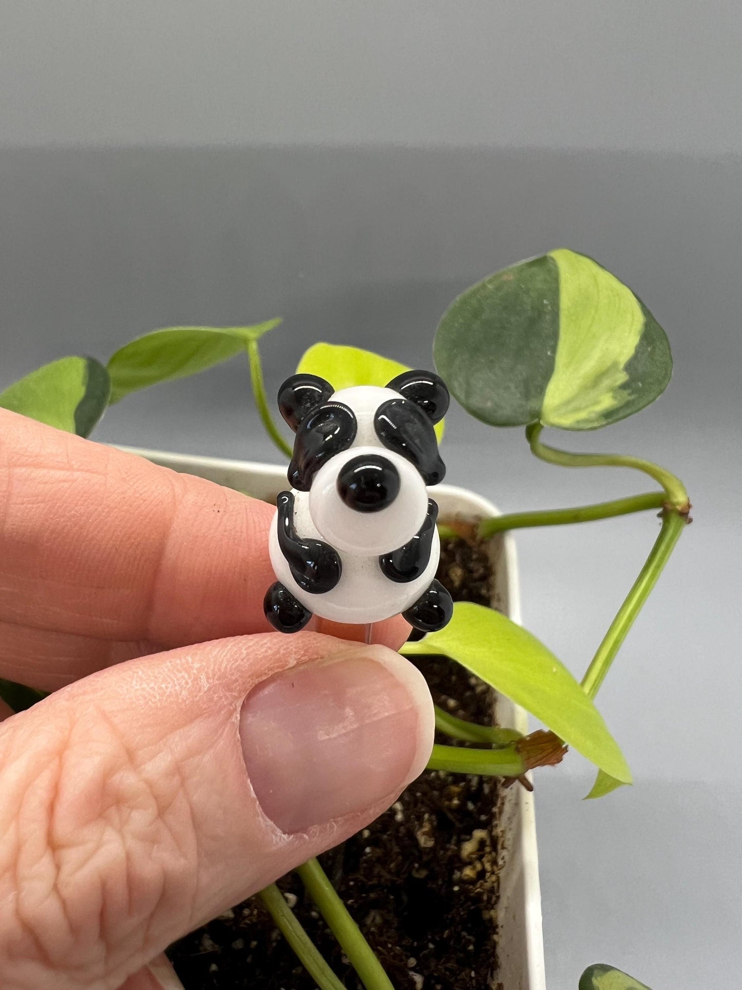 Panda Bear Glass Plant Stake