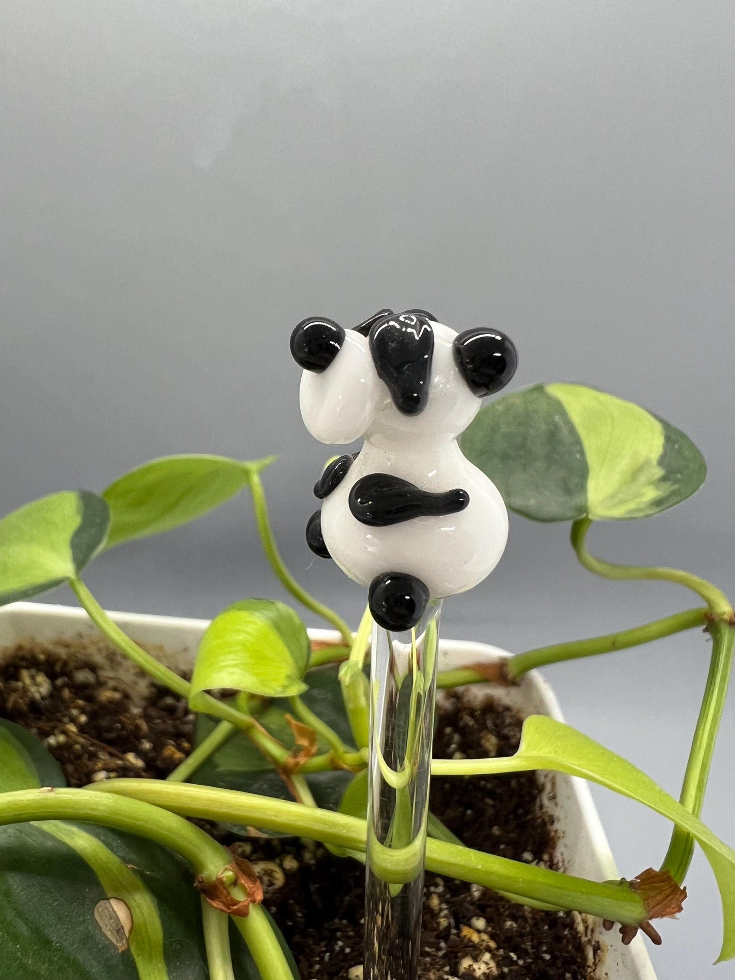 Panda Bear Glass Plant Stake