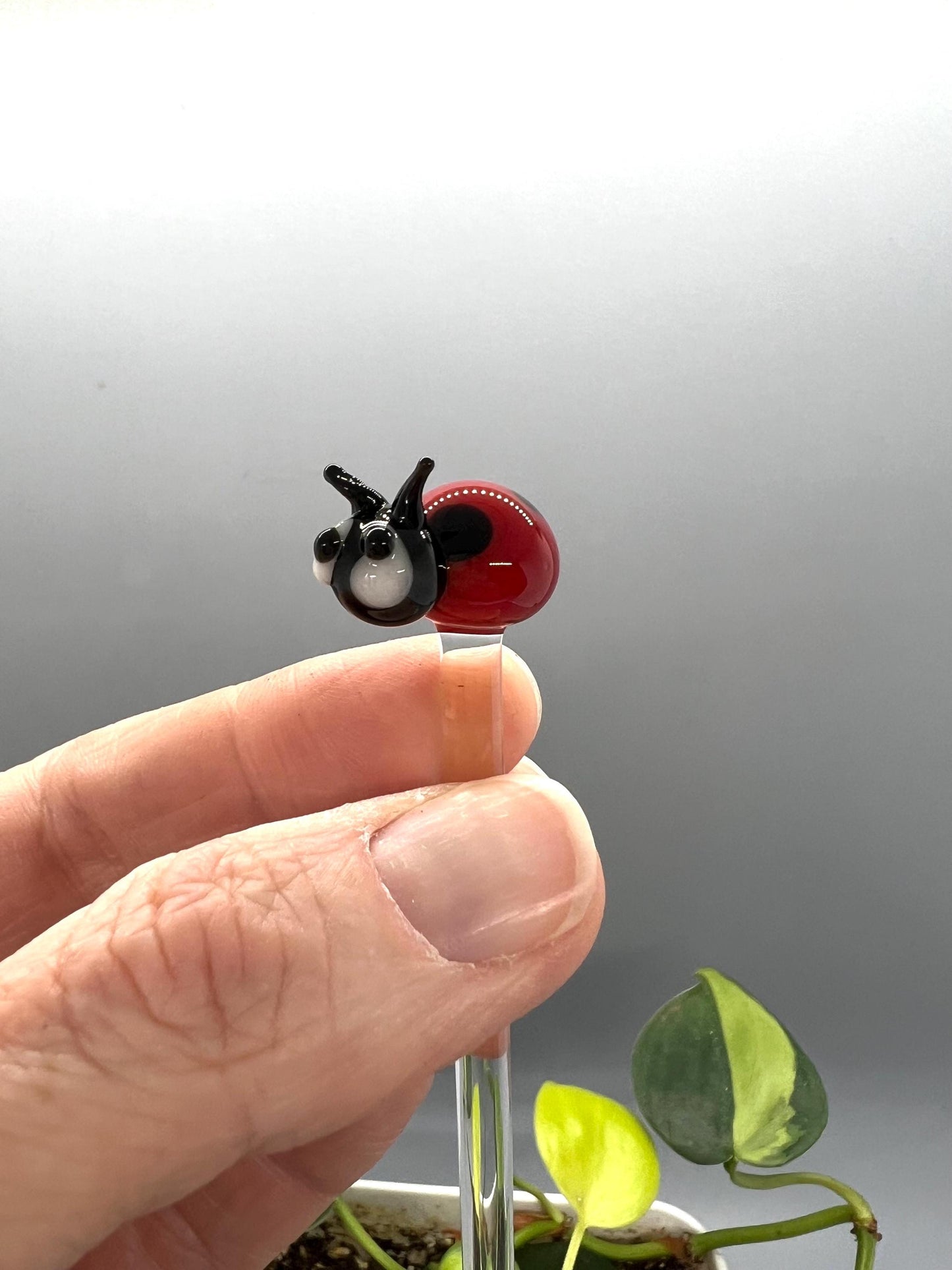Ladybug Glass Plant Stake