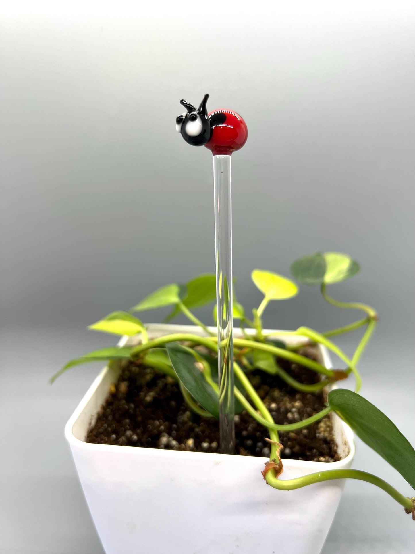 Ladybug Glass Plant Stake