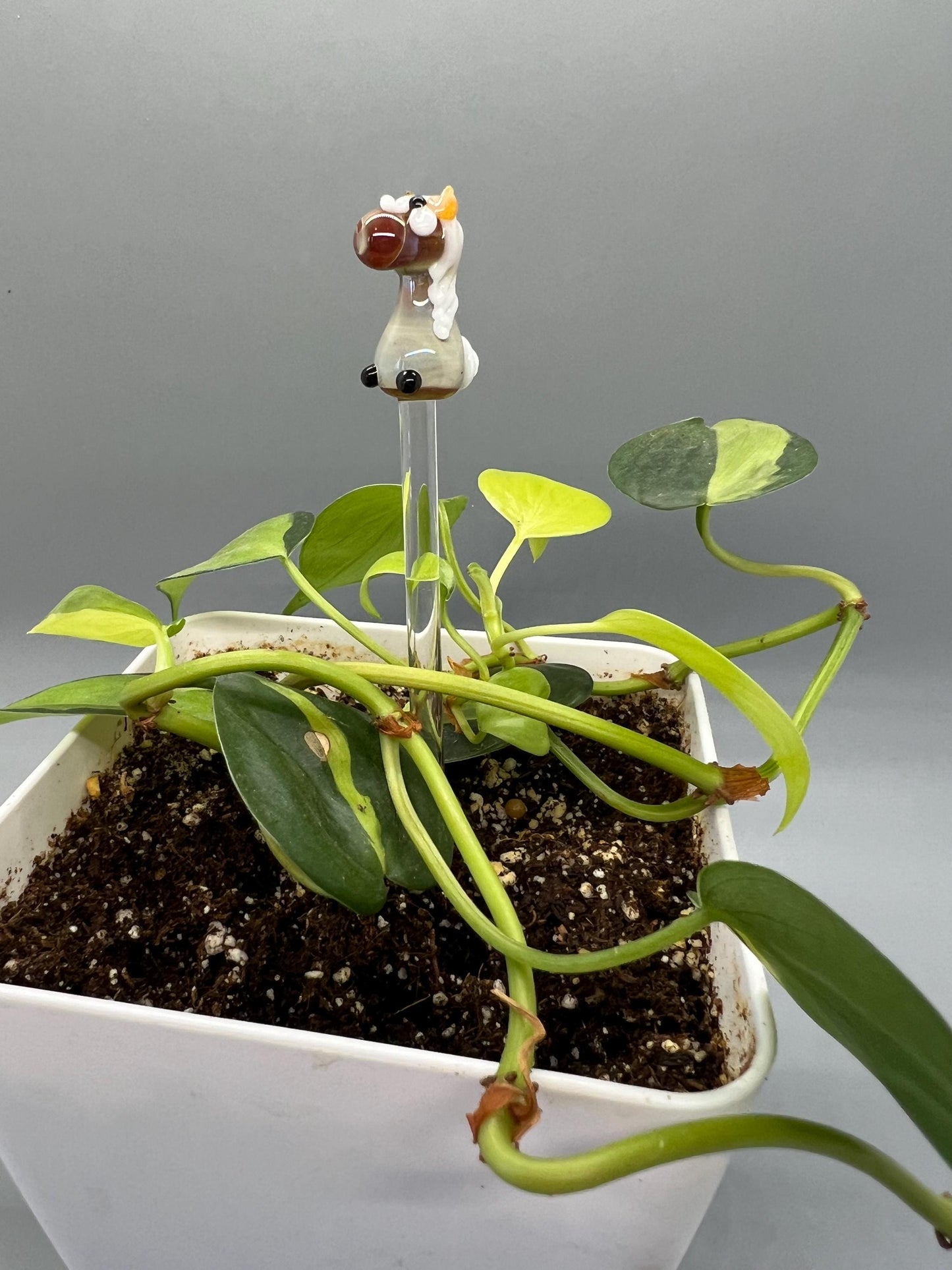 Palomino Horse Glass Plant Stake