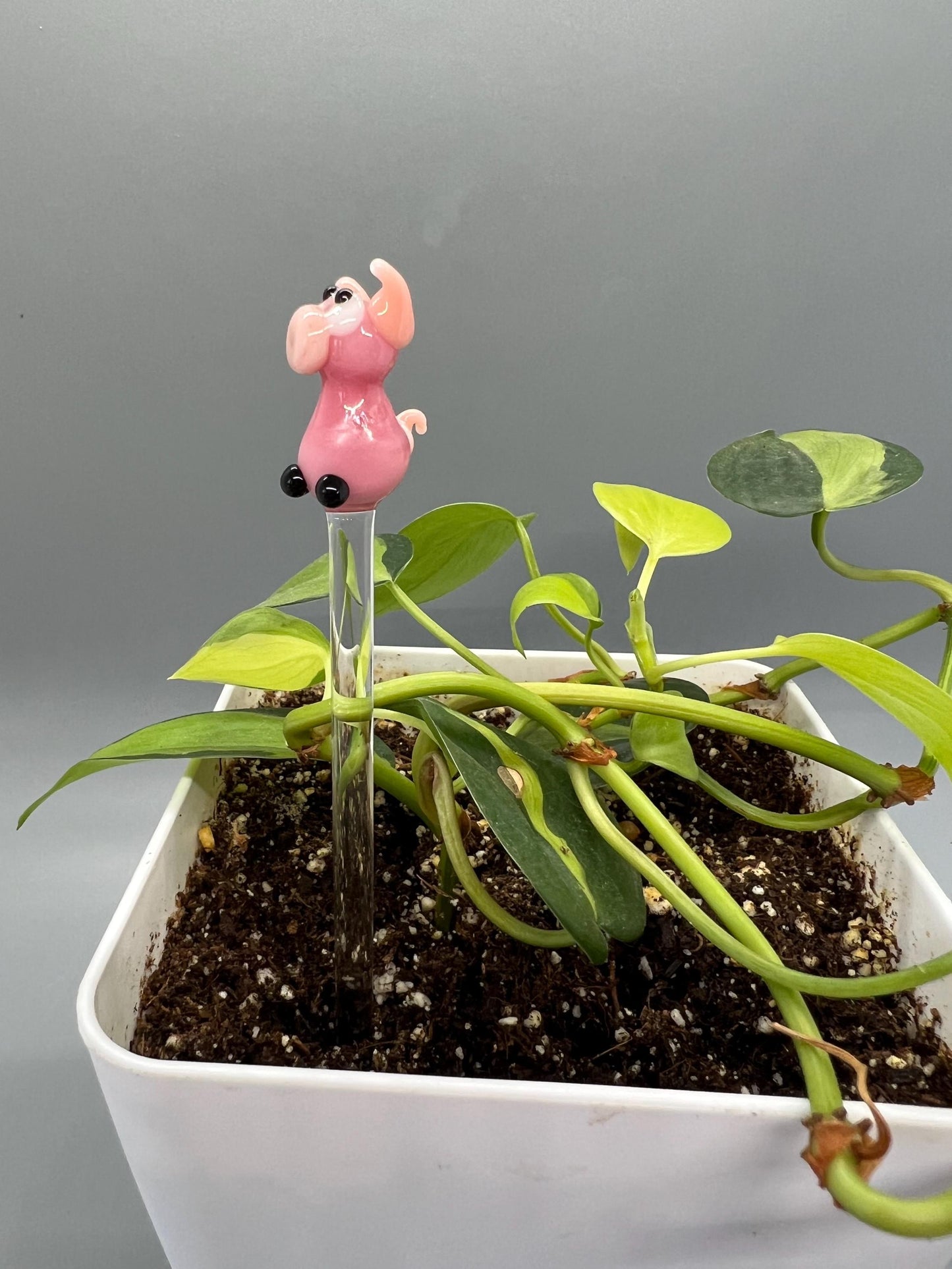 Pink Pig Glass Plant Stake