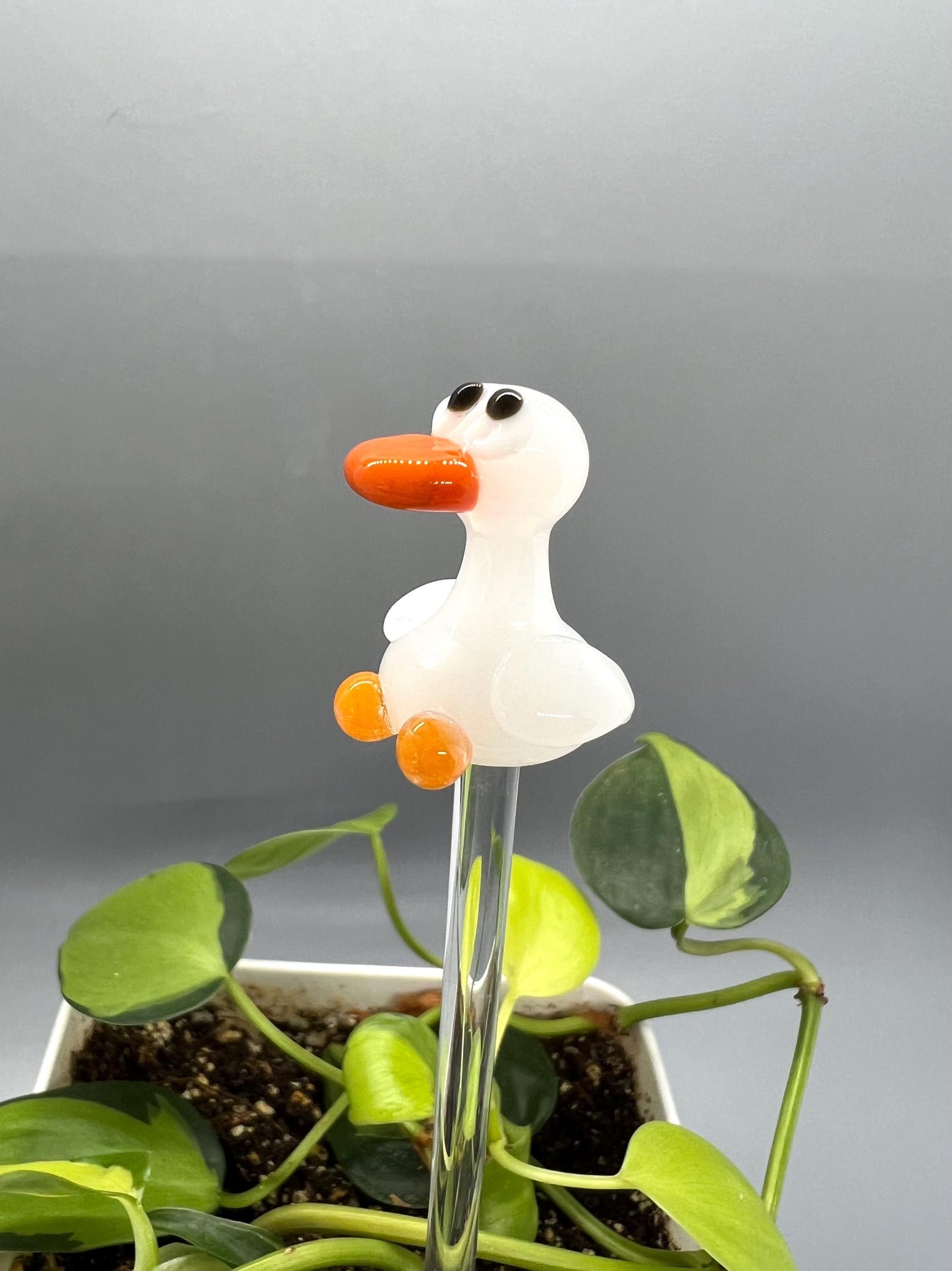 Goose Glass Plant Stake