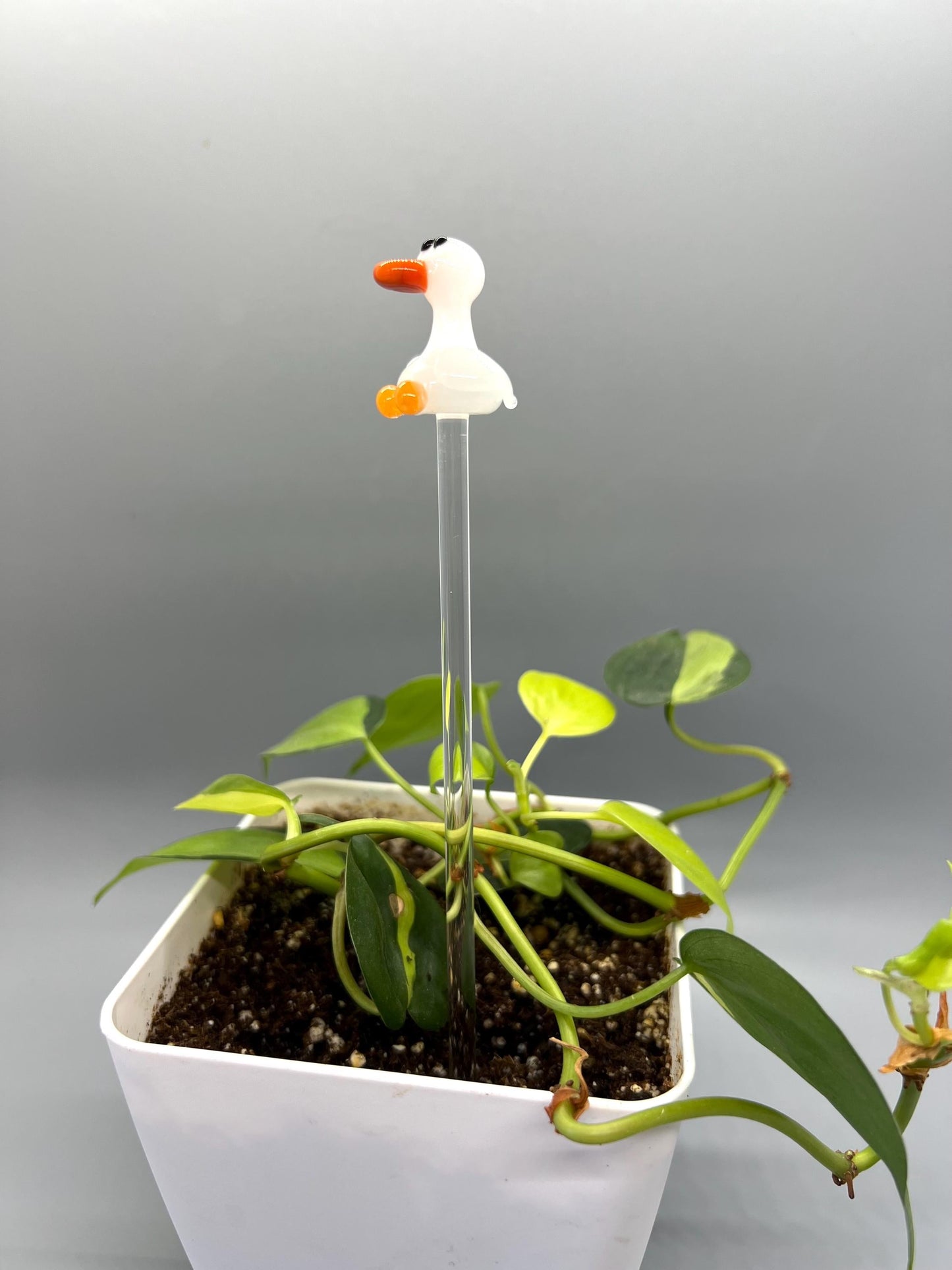 Goose Glass Plant Stake