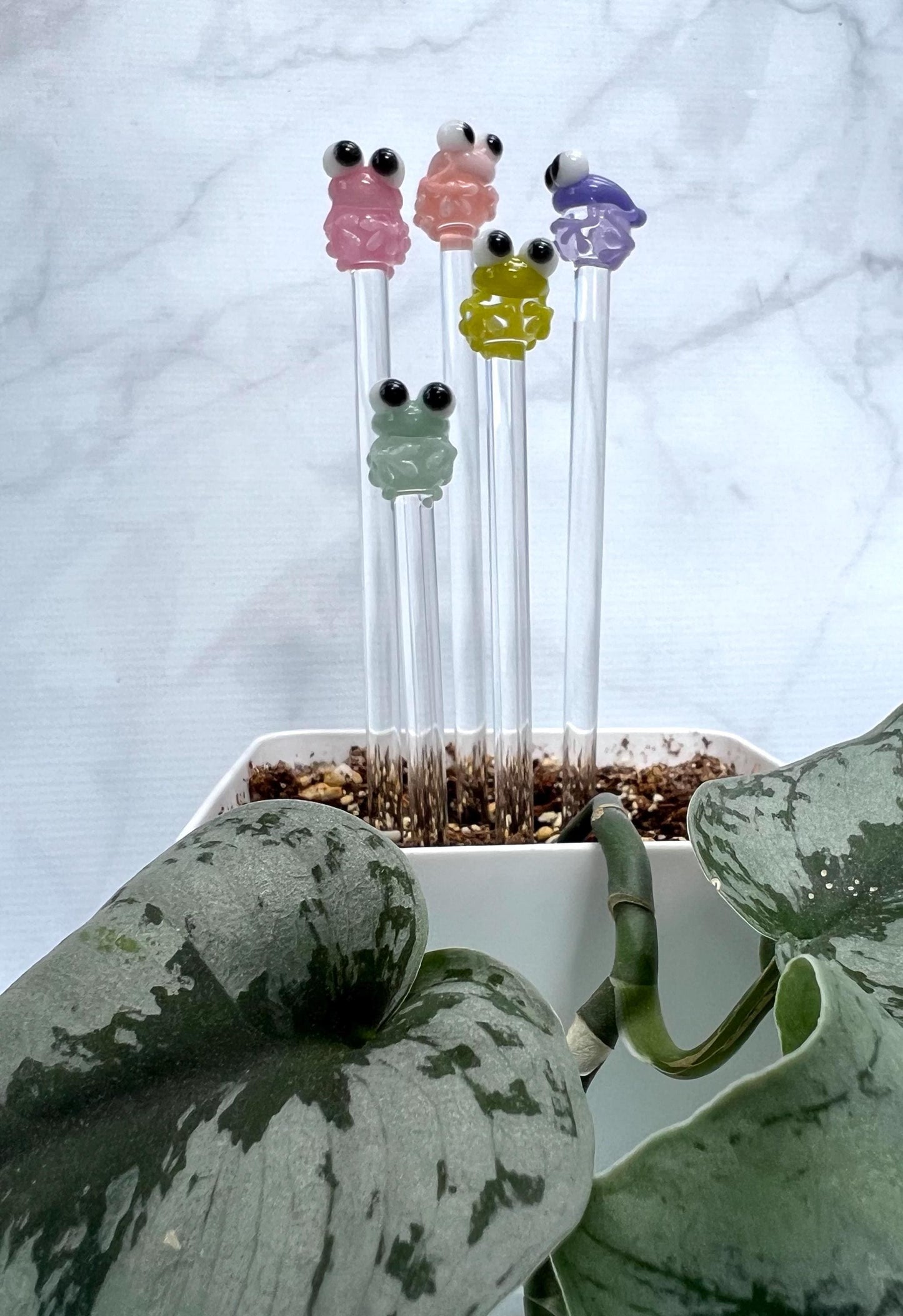 Pastel Frog Glass Plant Stake