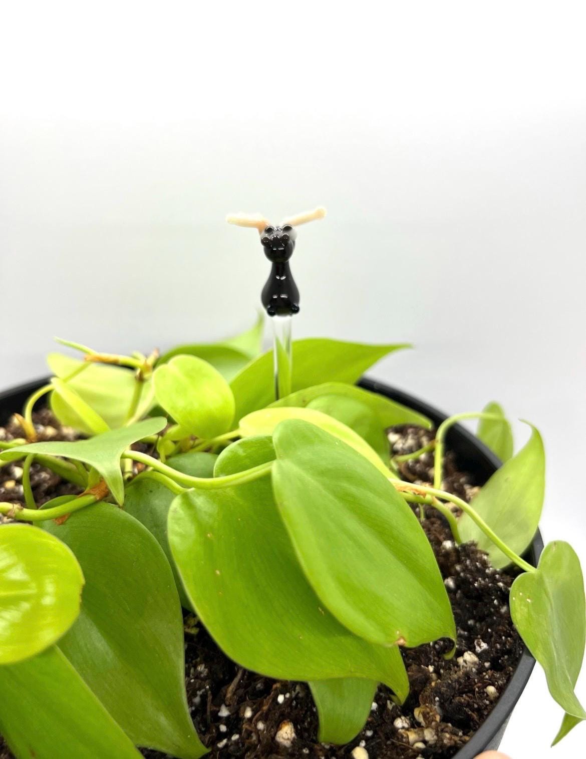 Moose Glass Plant Stake