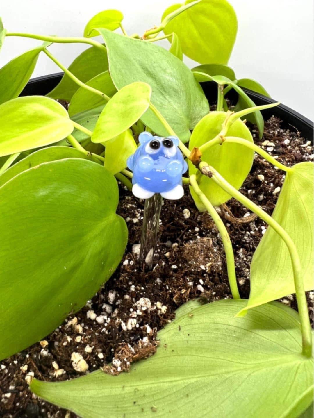 Blue Hippo Plant Stake