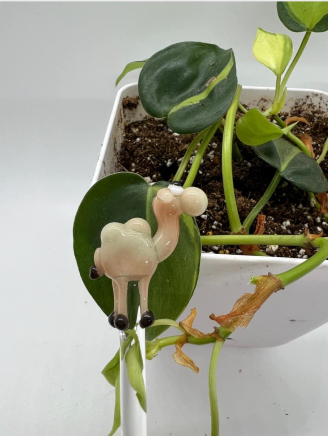 Camel Plant Stake