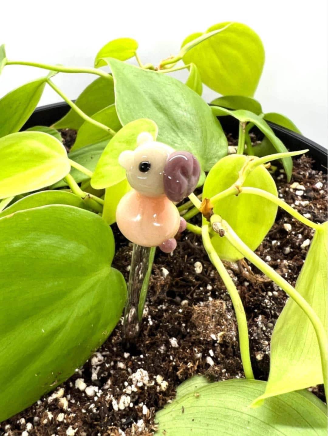 Capybara Plant Stake