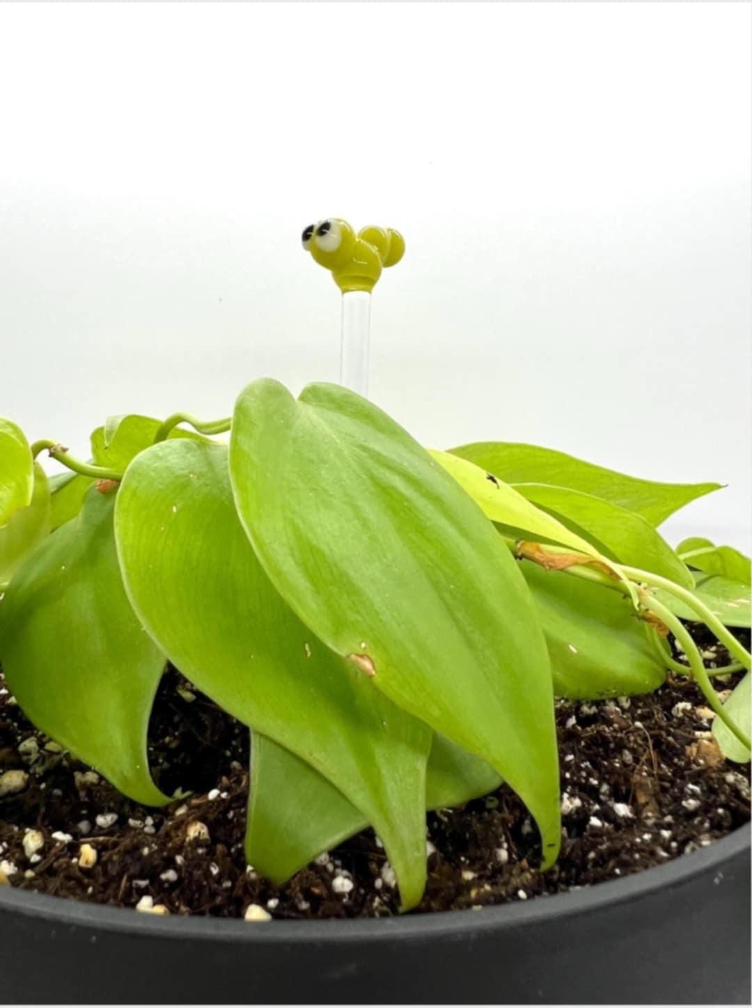Green Caterpillar Glass Plant Stake- Customizable Length- Free Gift Wrap