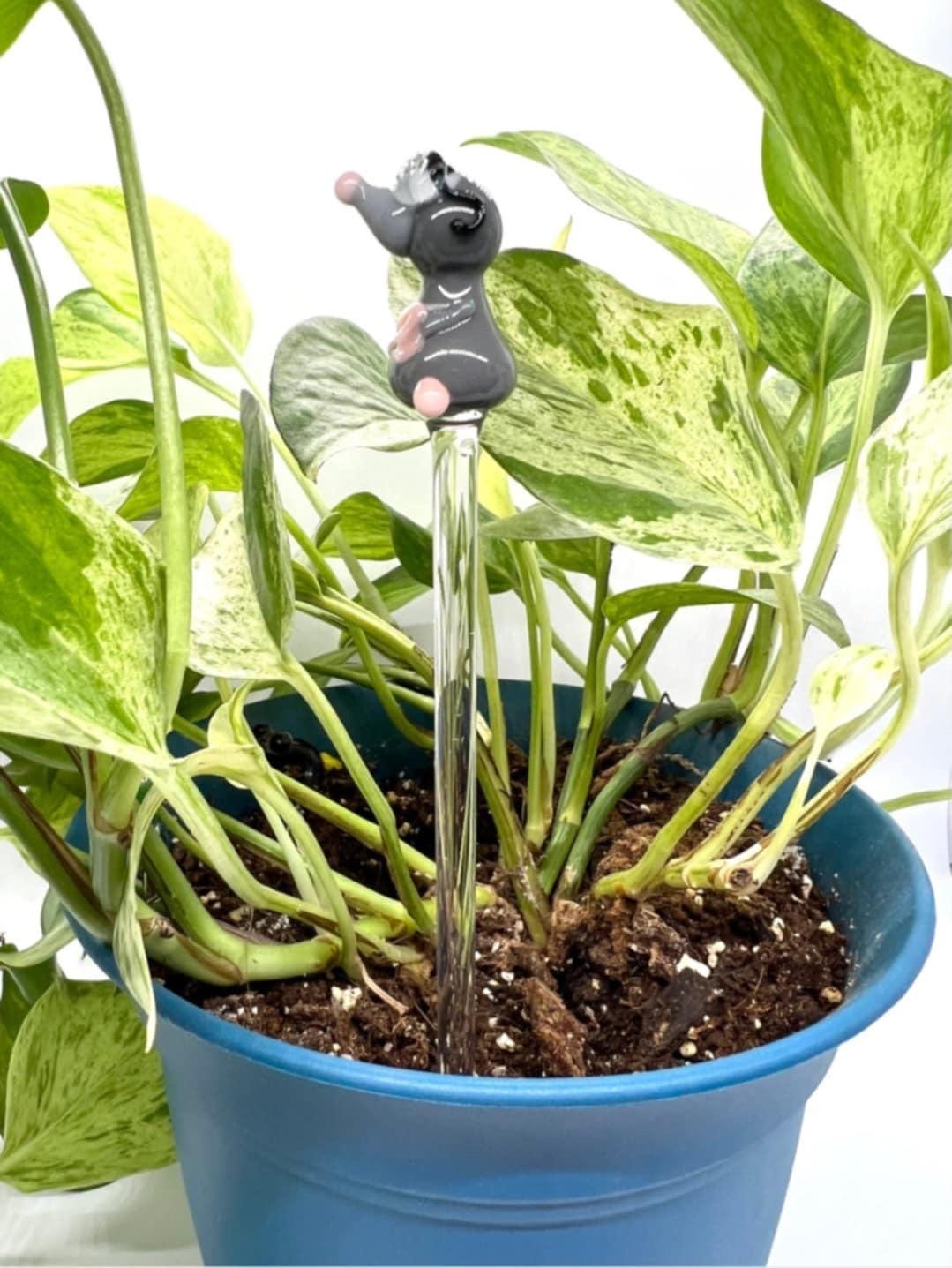 Mole with Glasses Glass Plant Stake- Customizable Length- Free Gift Wrap