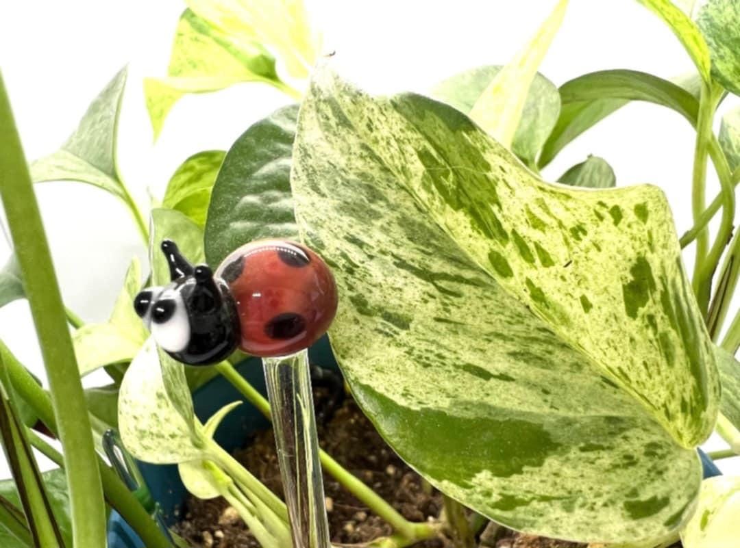 Ladybug Glass Plant Stake