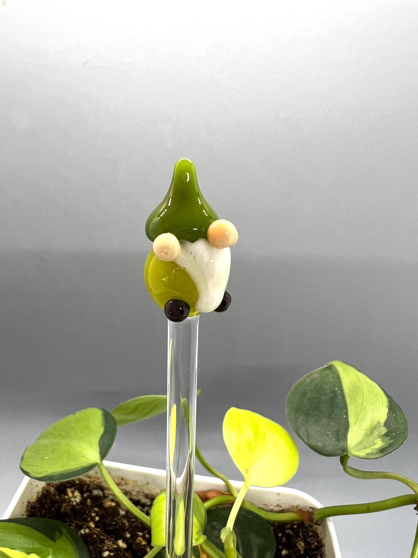 Green Gnome Glass Plant Stake