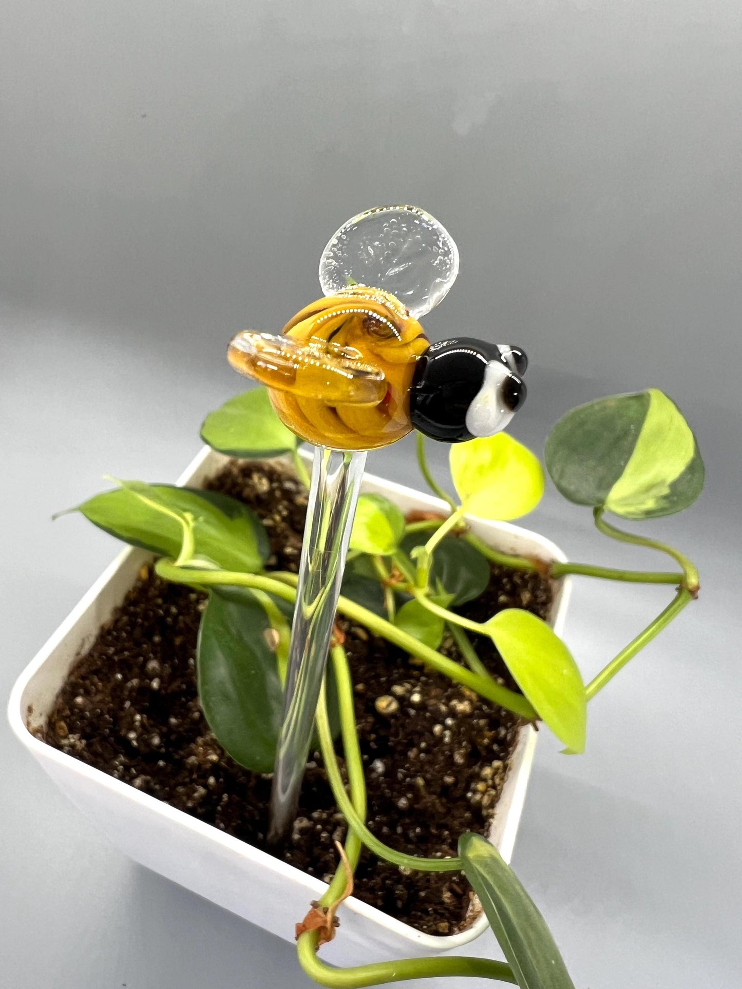Bumble Bee Glass Plant Stake