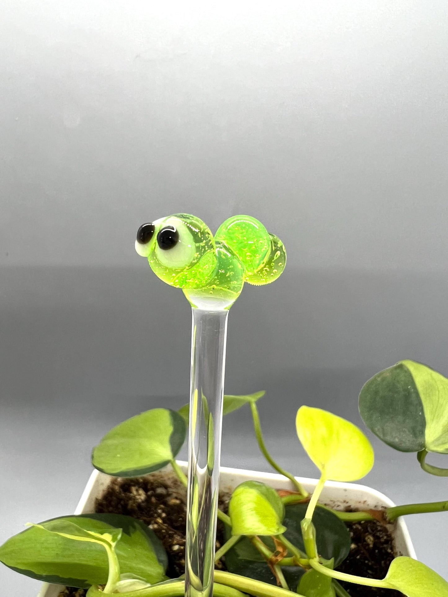 Caterpillar Glass Plant Stake