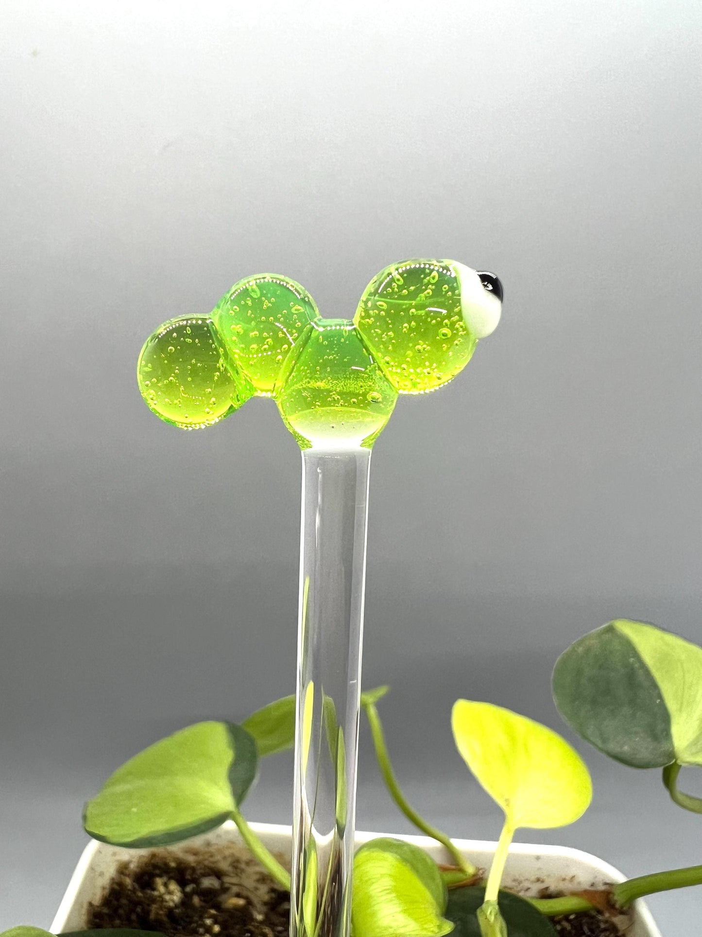 Caterpillar Glass Plant Stake
