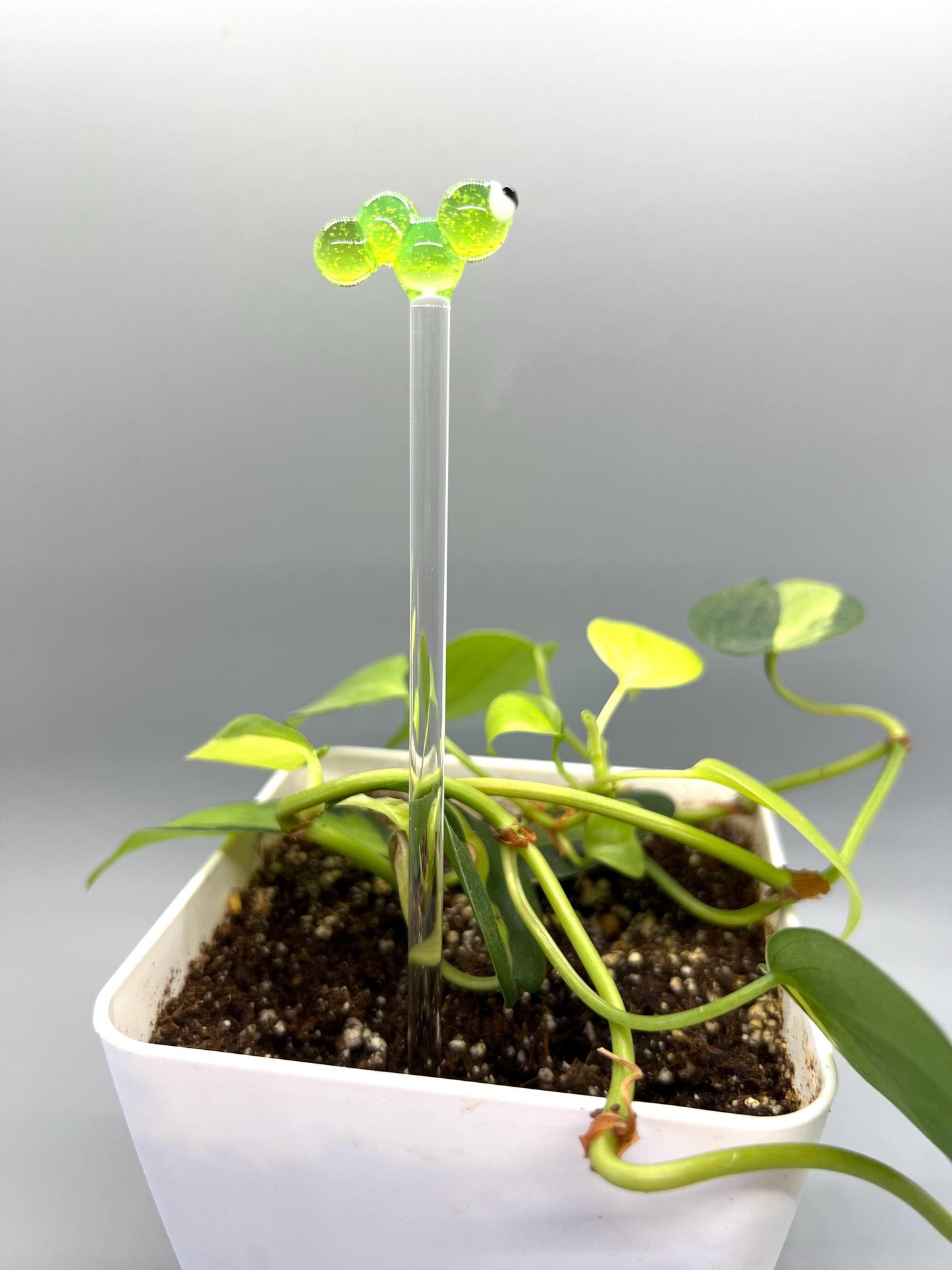 Caterpillar Glass Plant Stake