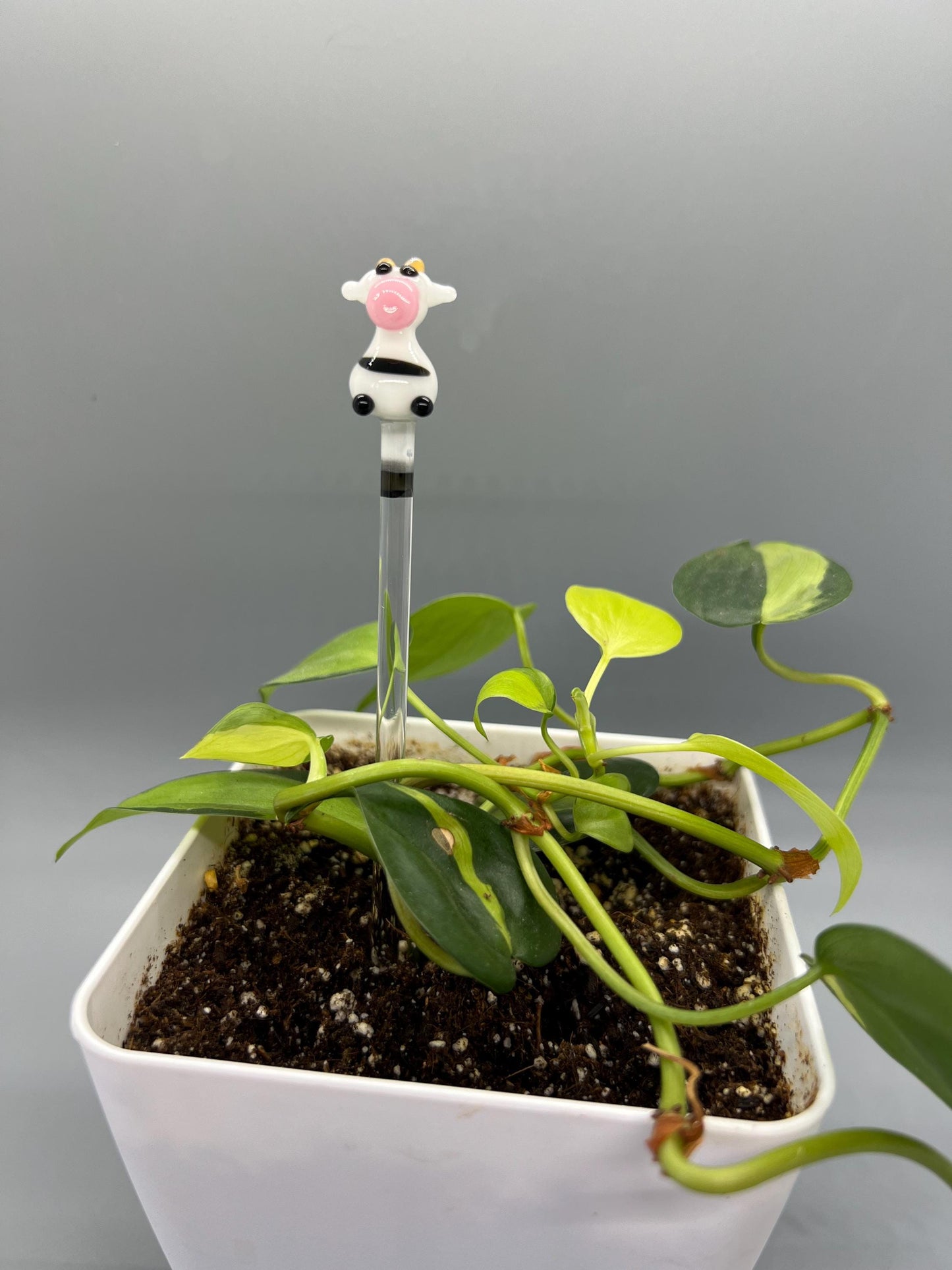 Cow Glass Plant Stake