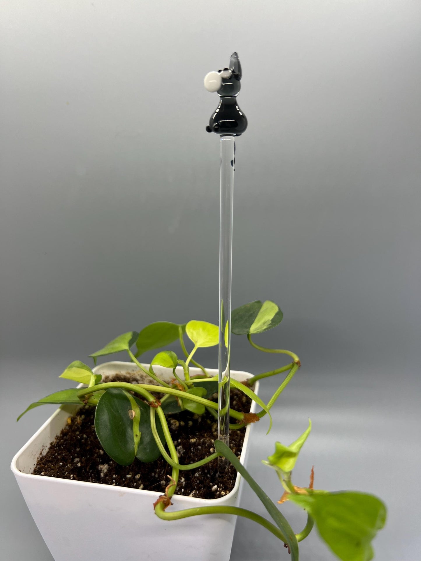 Donkey Glass Plant Stake