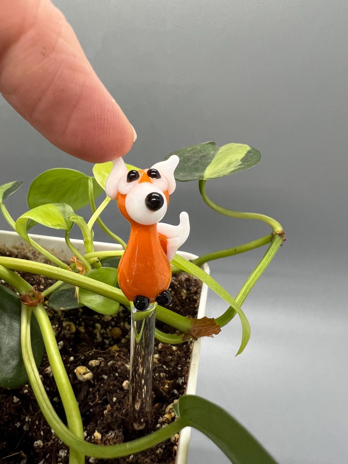 Fox Glass Plant Stake
