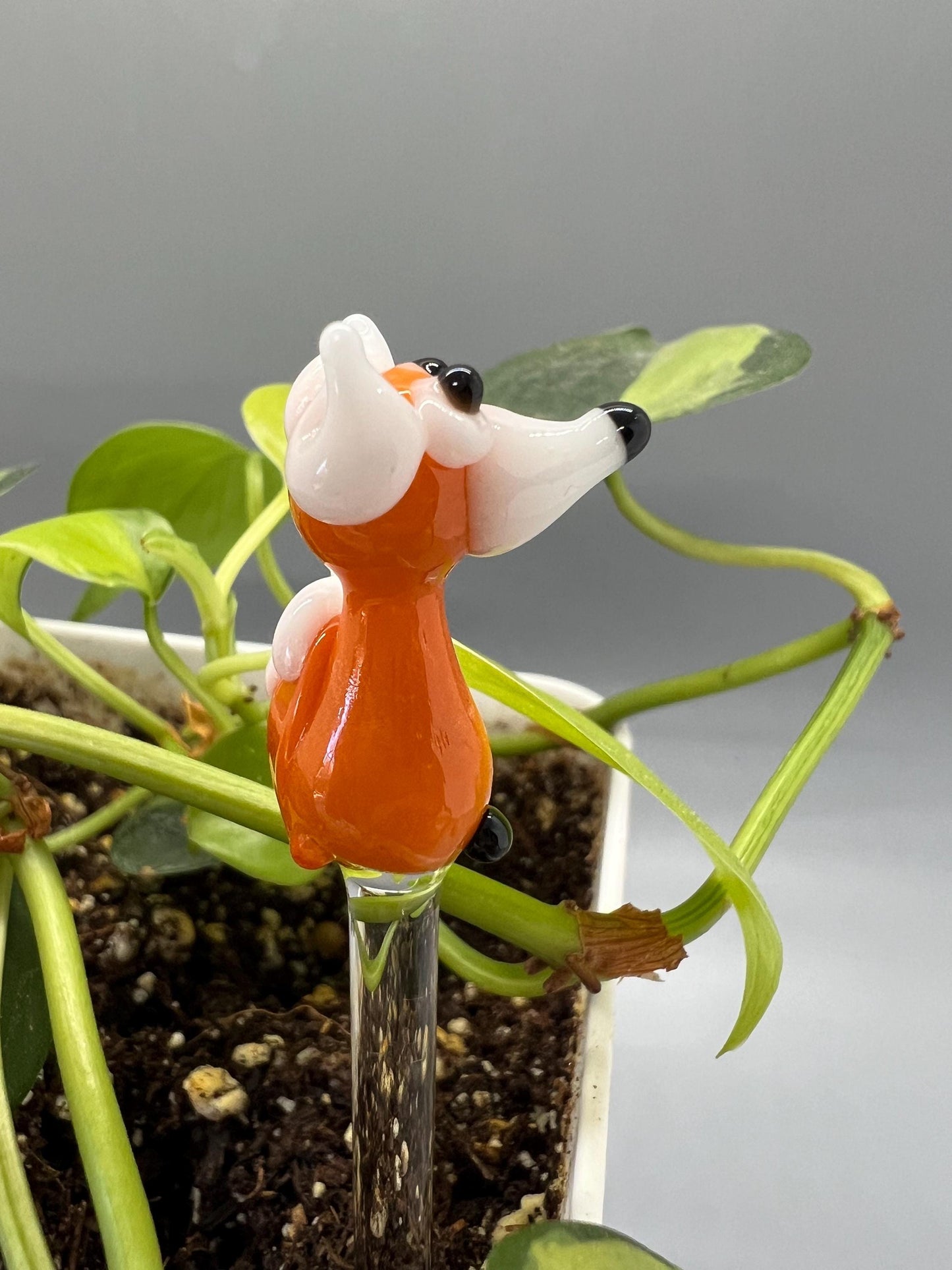 Fox Glass Plant Stake