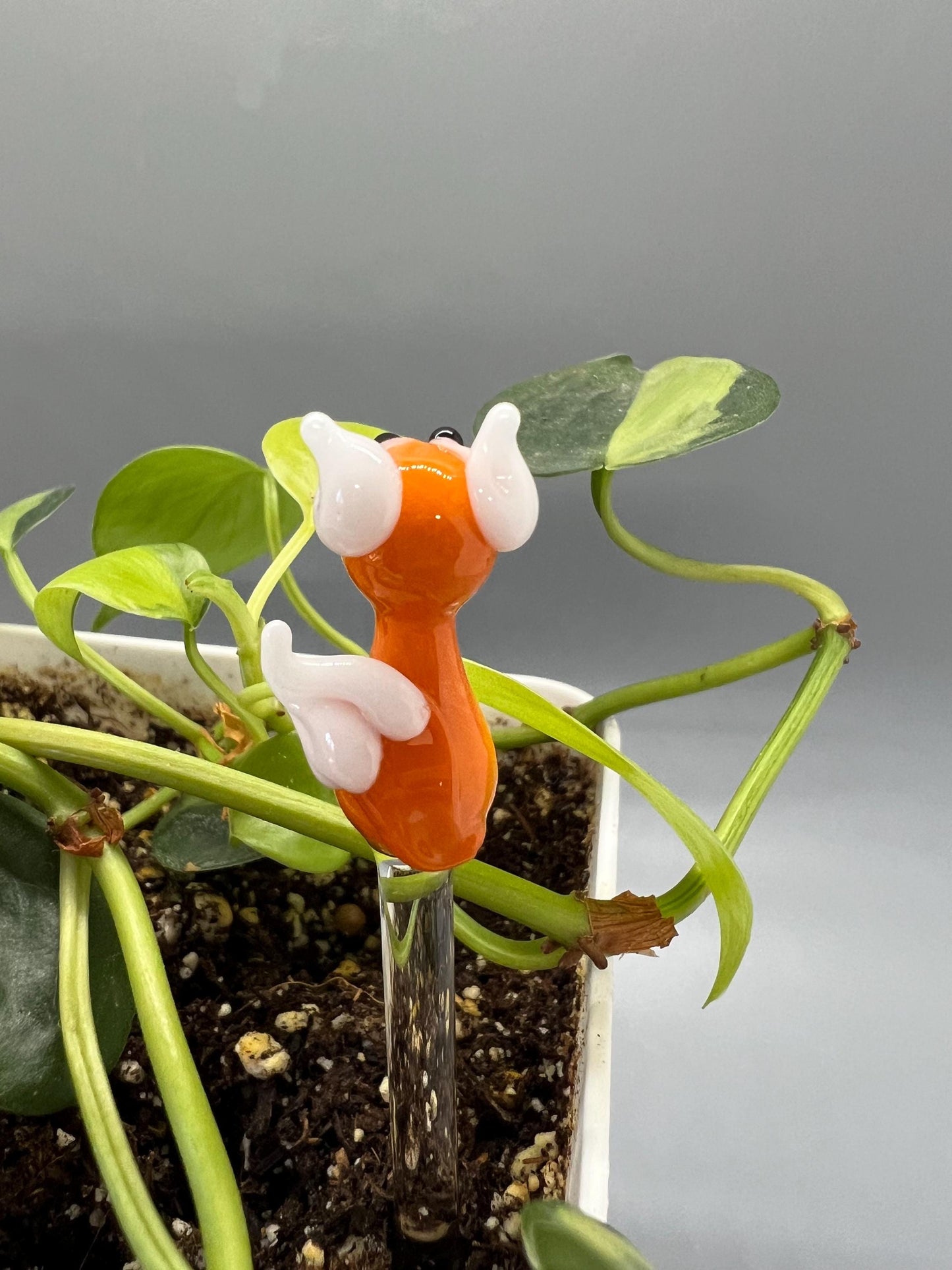Fox Glass Plant Stake