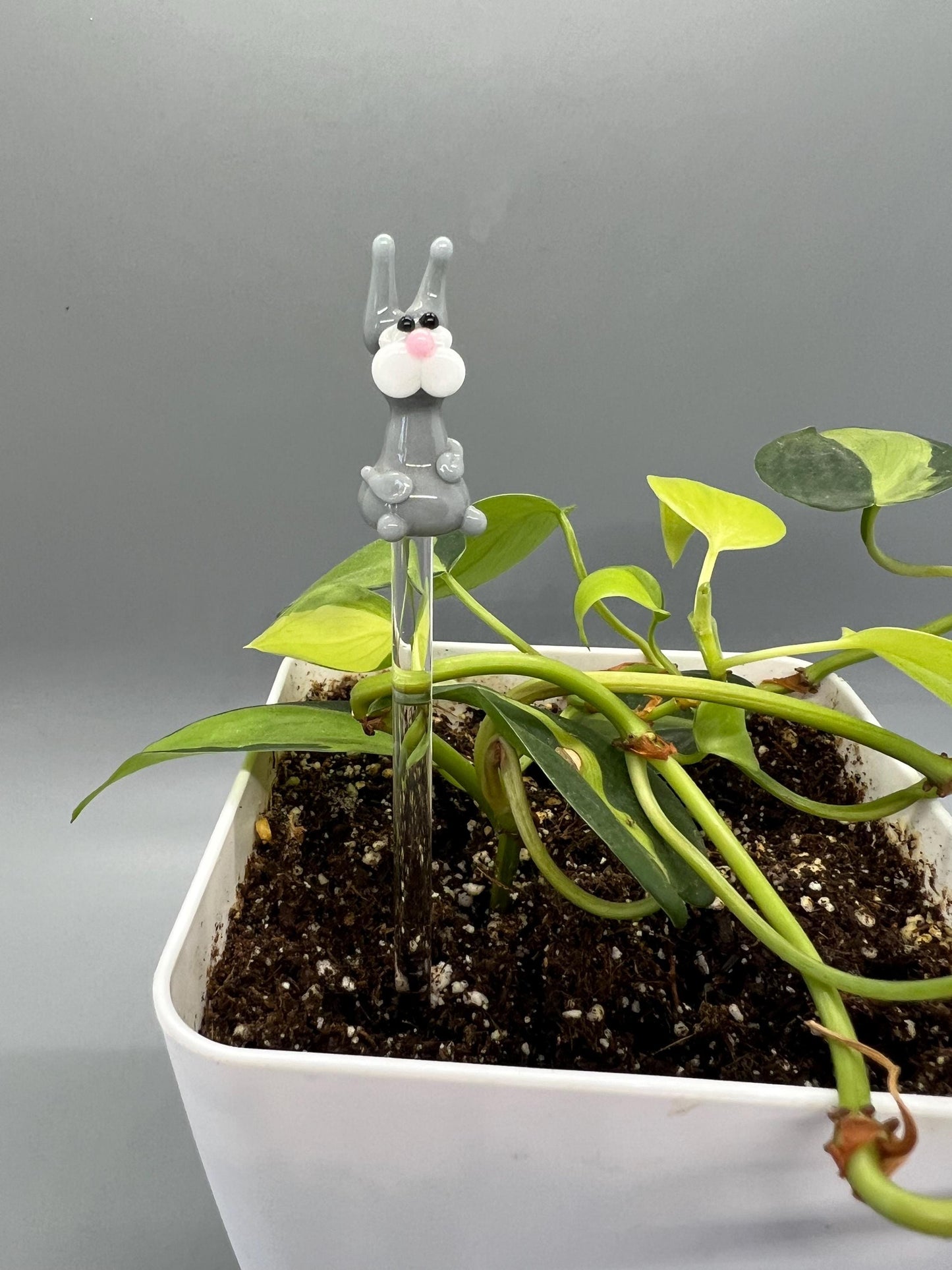 Gray Rabbit Glass Plant Stake