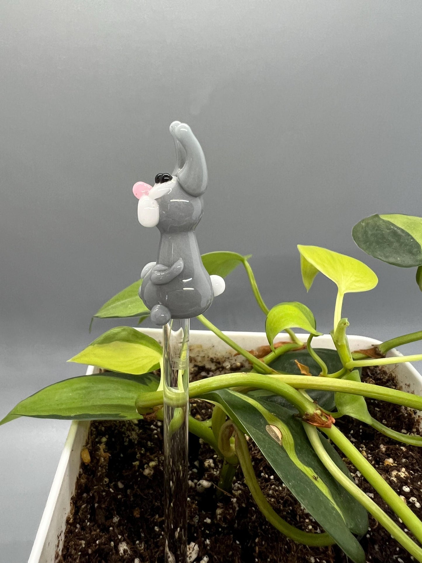 Gray Rabbit Glass Plant Stake