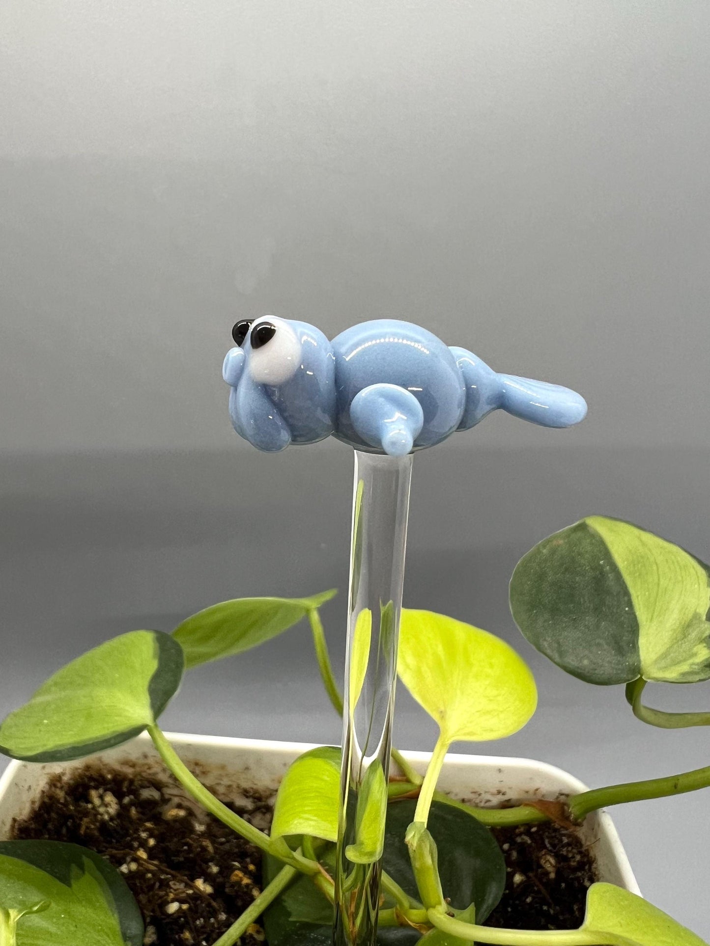 Manatee Glass Plant Stake