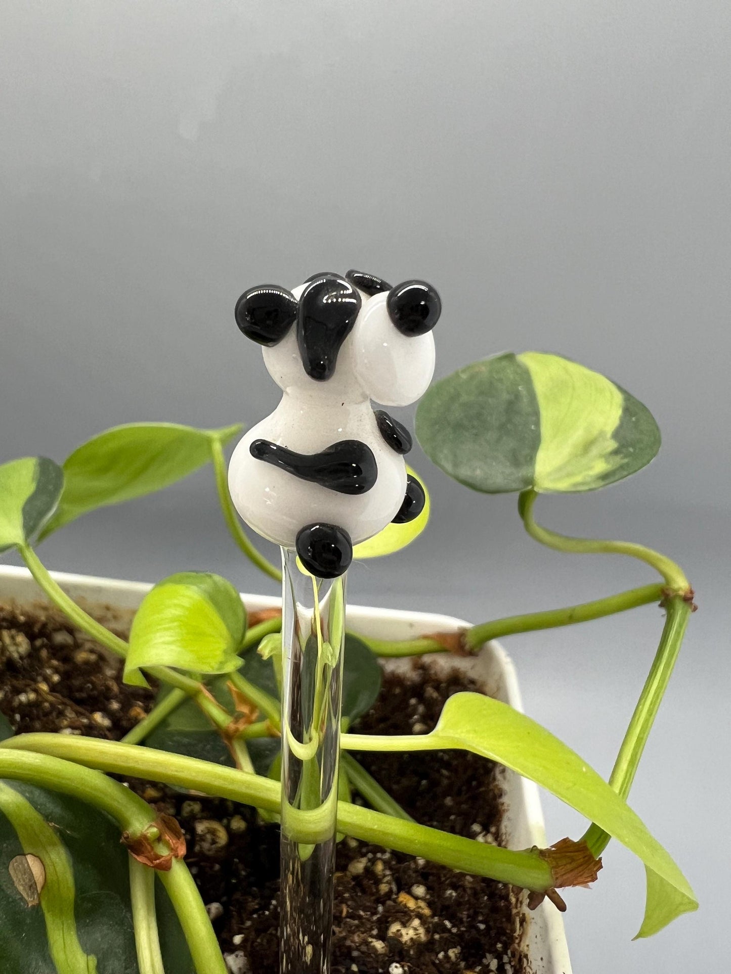 Panda Bear Glass Plant Stake