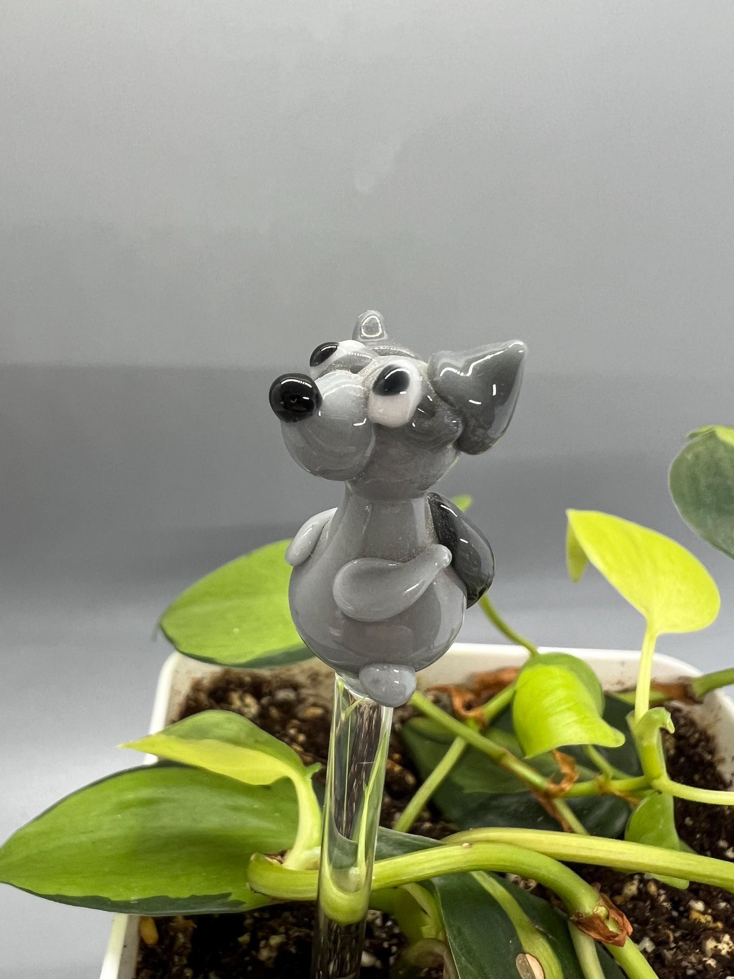 Raccoon Glass Plant Stake