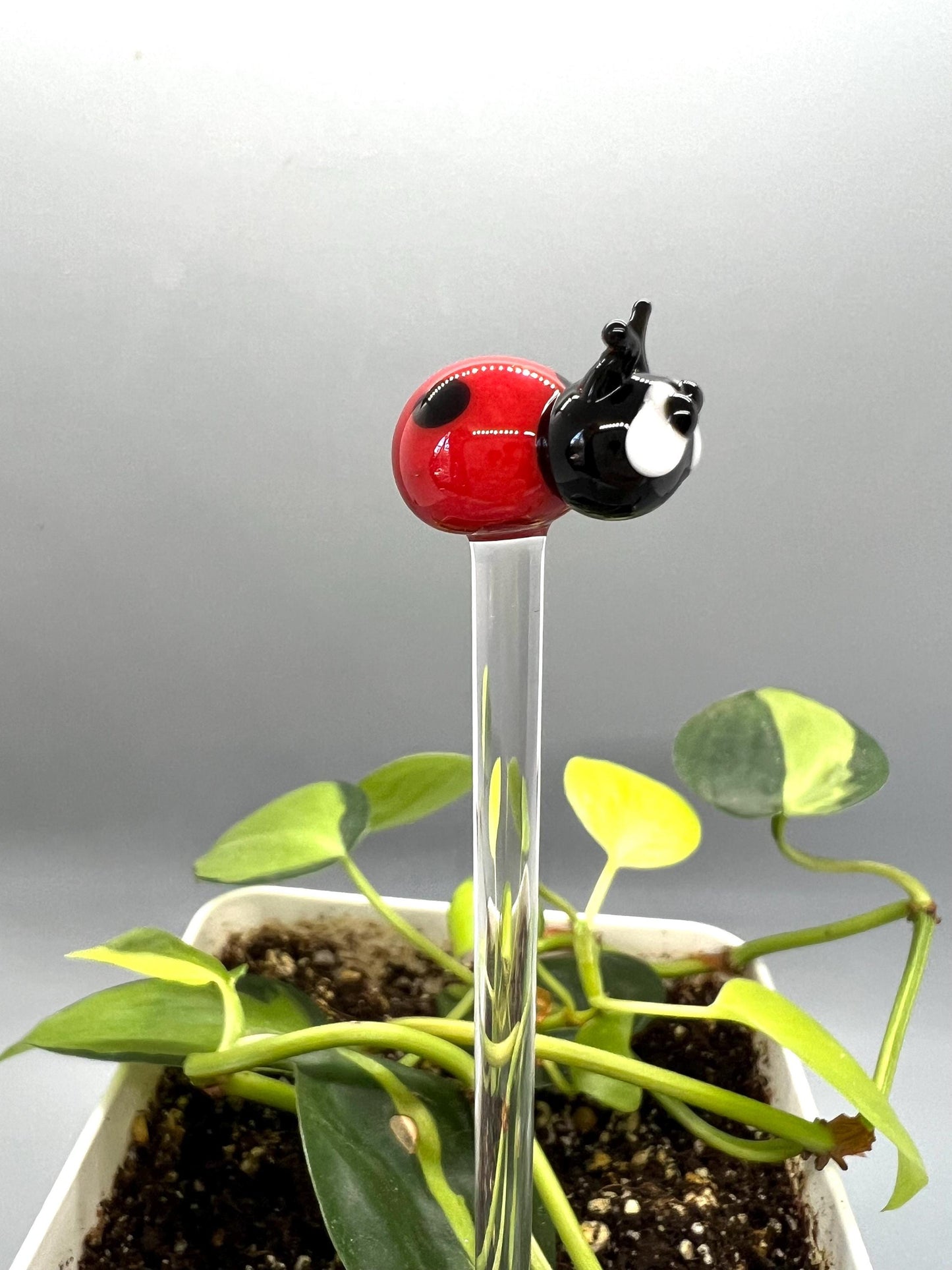 Ladybug Glass Plant Stake