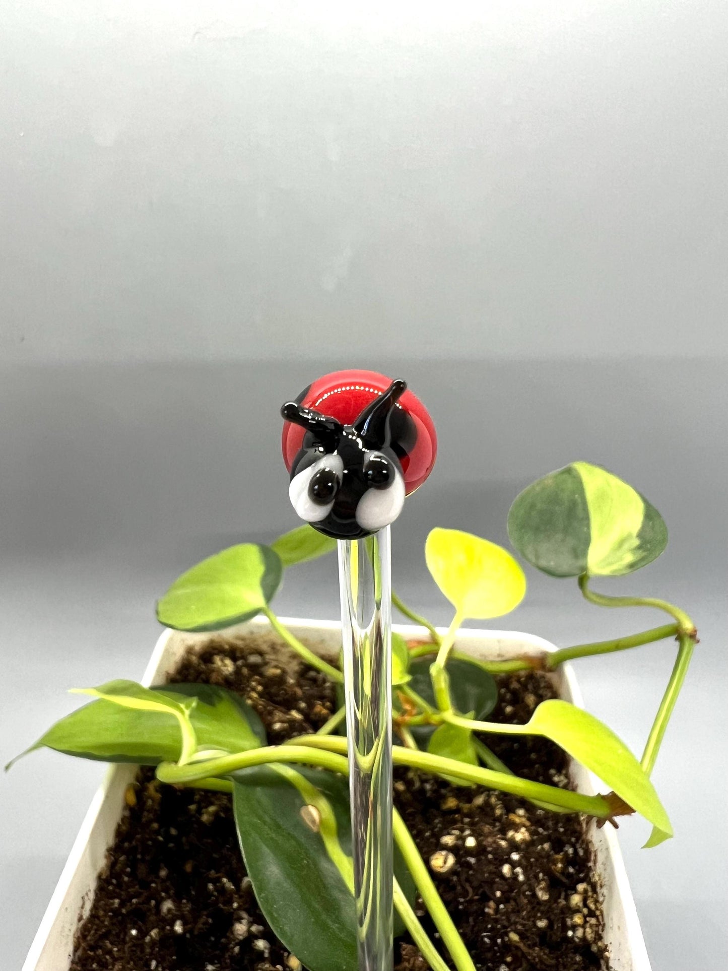 Ladybug Glass Plant Stake